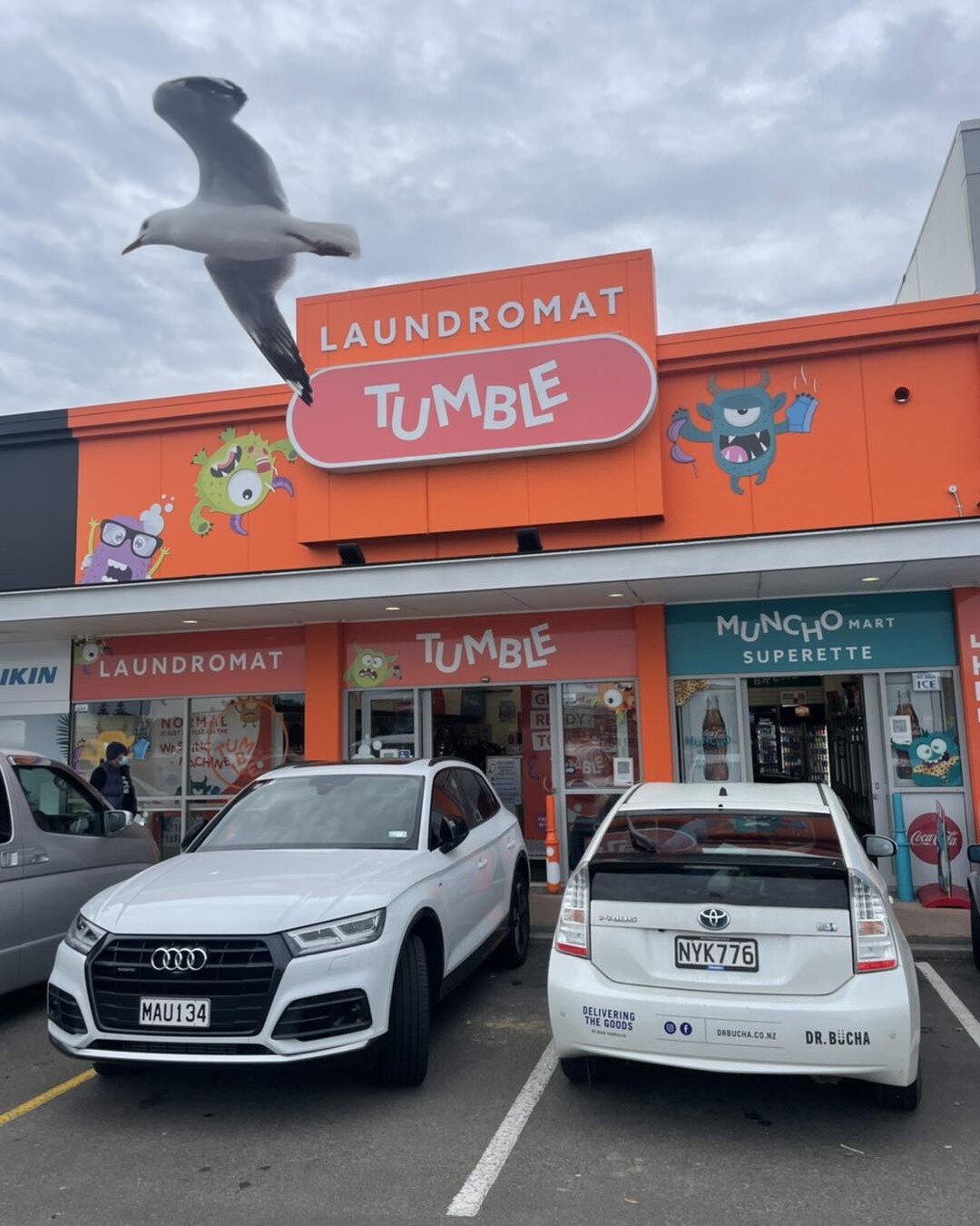 Dr Bucha now delivers to Muncho Mart at the mount right next to Harvey Norman. 

The business owners also run the best laundromat around - so if you want to dry some winter woolies this is the place to go. 

Enjoy a mini Dr Bucha while you wait. :-)