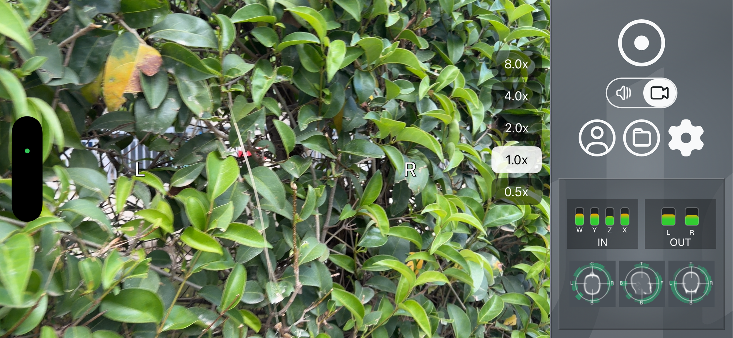 0x0ss (2).png
