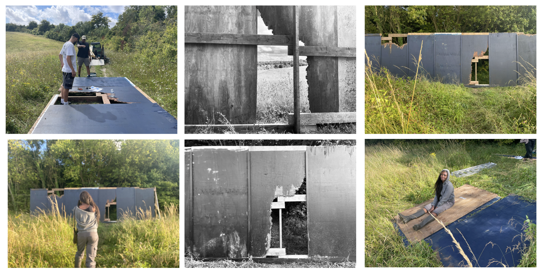 The hoarding in the woods