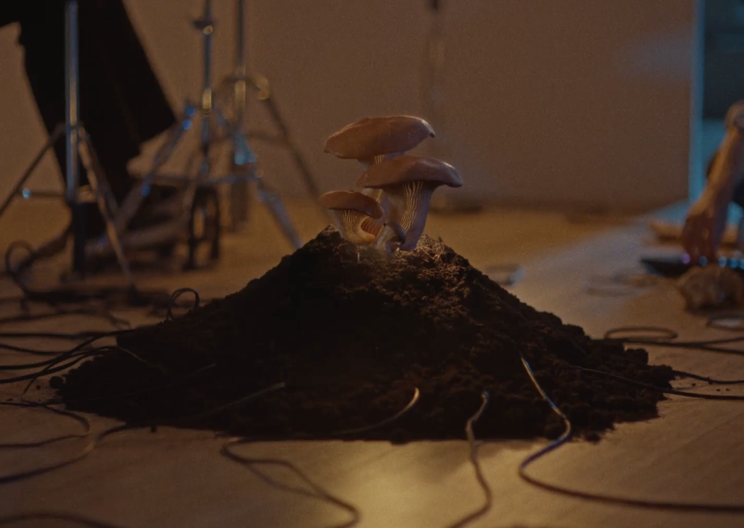 Screenshot 2026-03-09 at 14.57.20.png