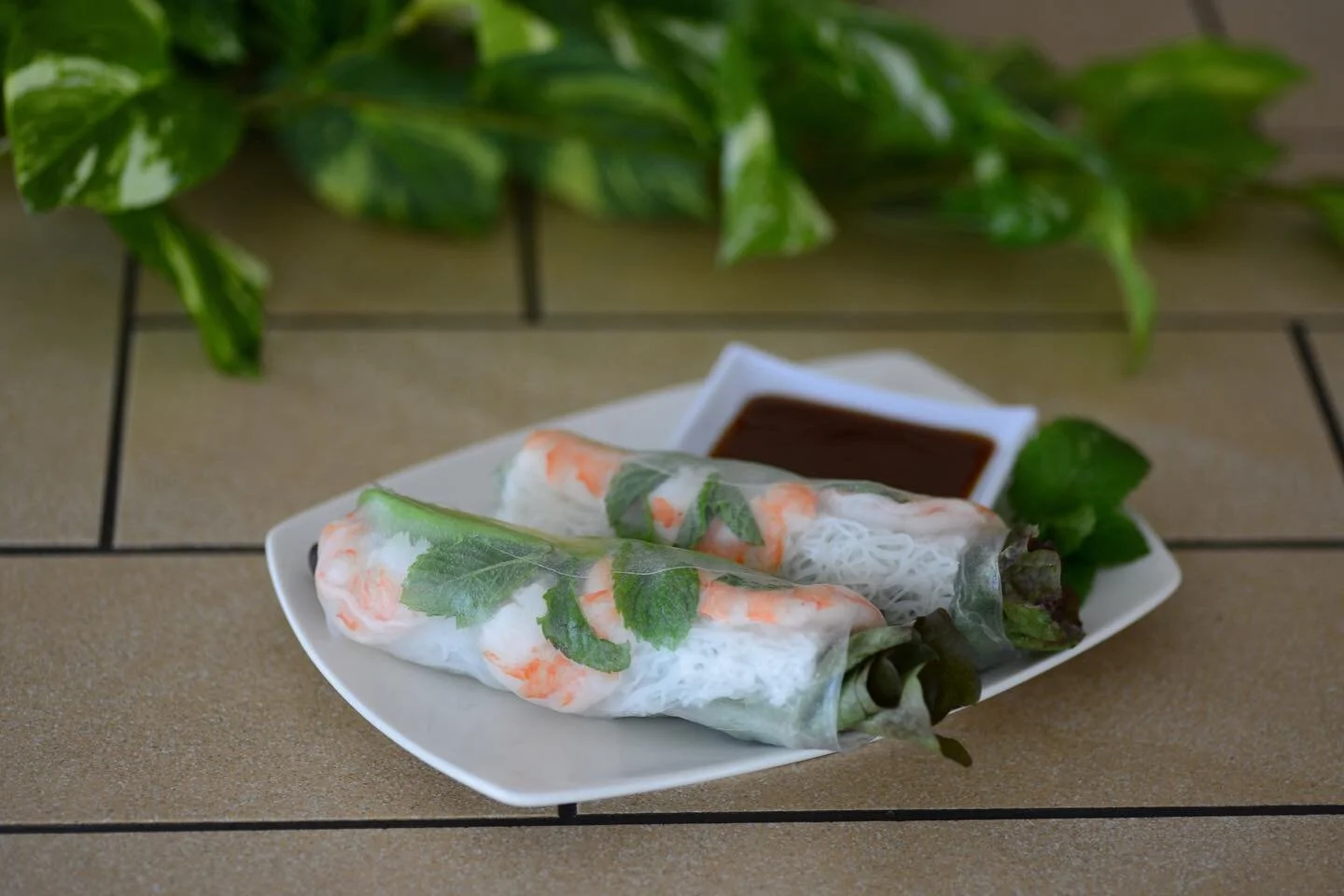 Rolled fresh everyday, and refreshing on the upcoming sunny days. ☀️
.
We&rsquo;re open until 2 today! Pop in 😼