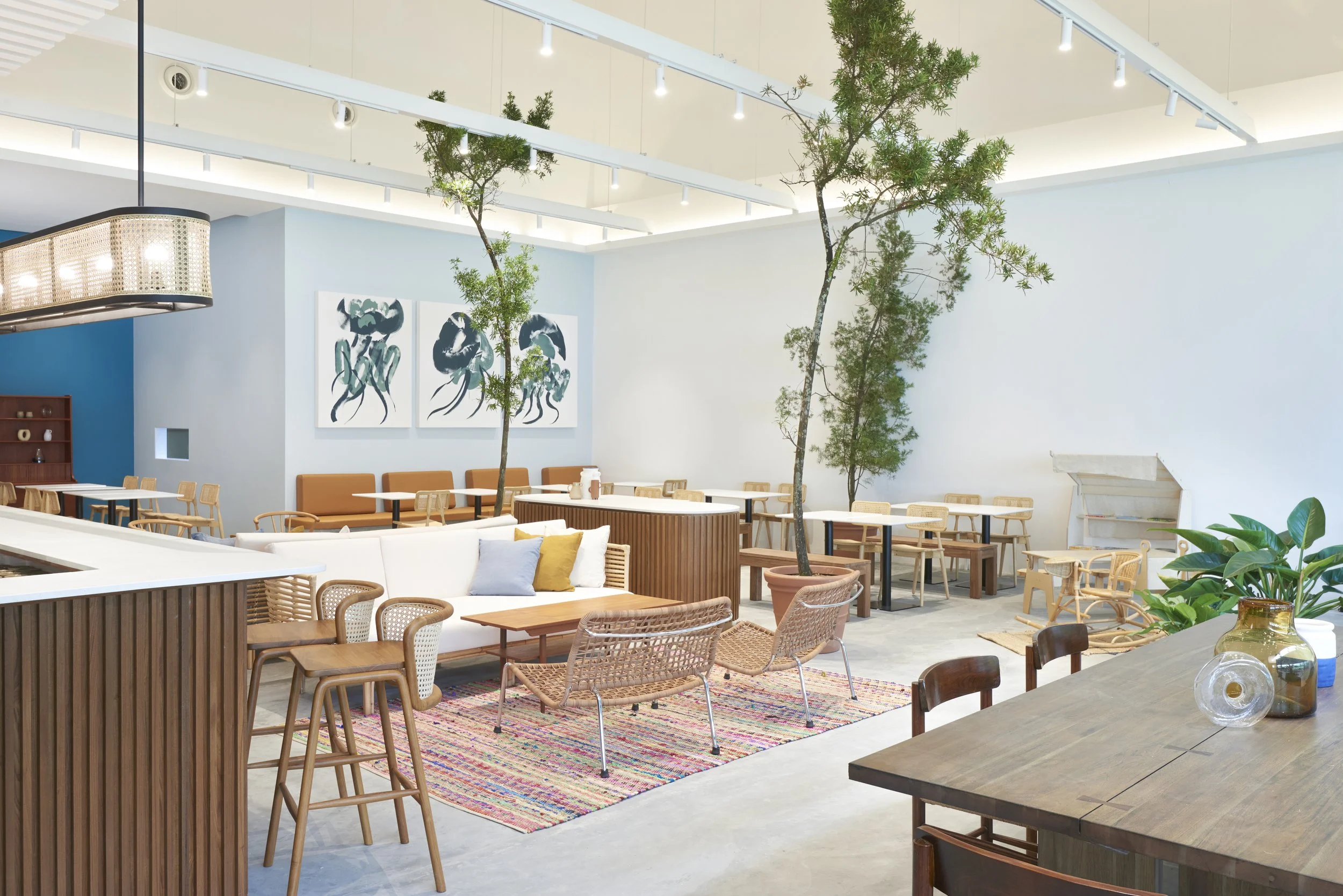 A spacious, modern interior of a cafe or restaurant with light-colored walls, high ceiling, and ample seating options, including wooden chairs, a white sofa with colorful cushions, and tables. Decor includes large green potted plants, abstract artwork on the wall, and a multicolored rug.