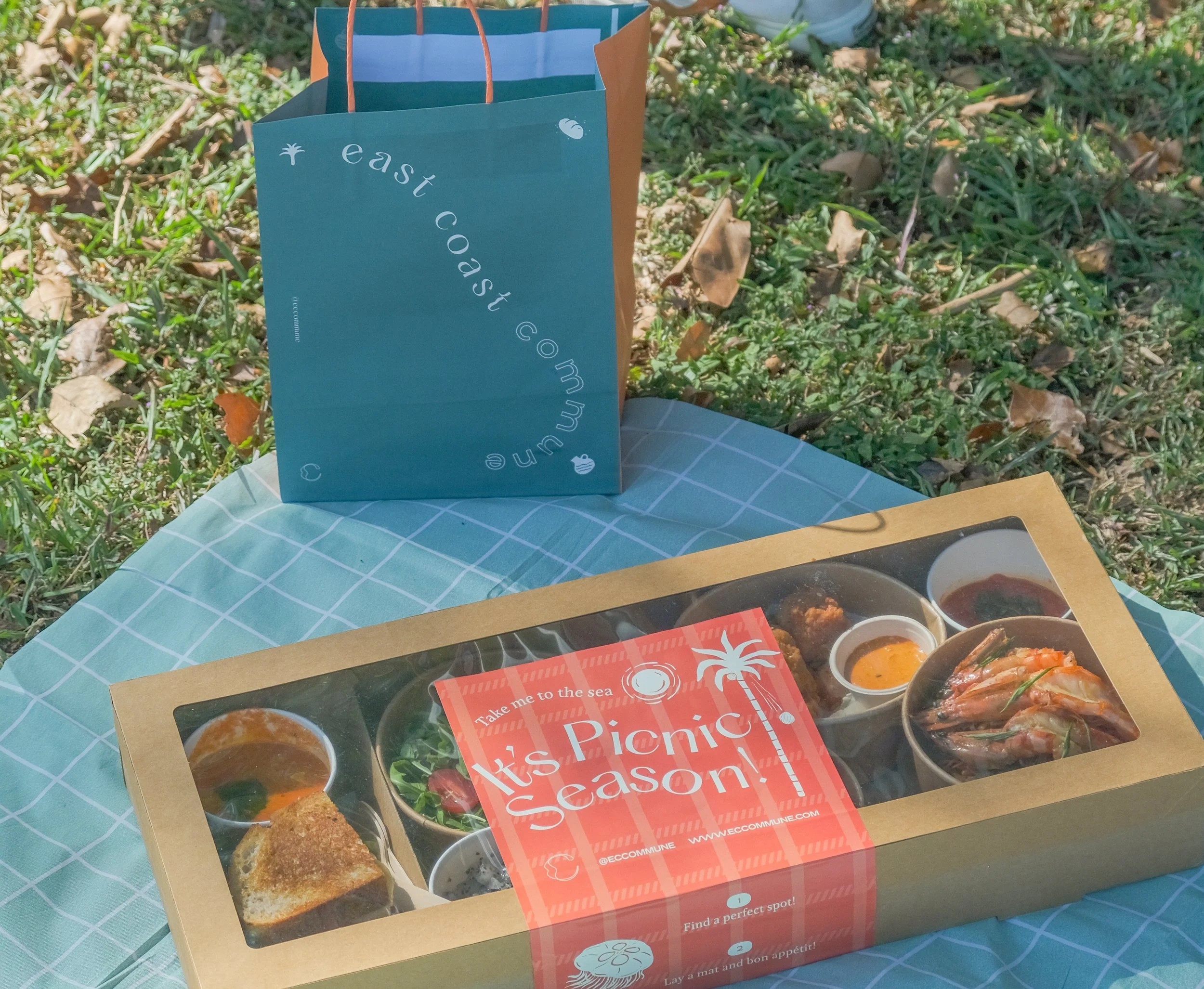 A picnic setup with a blue and brown paper bag labeled 'east coast com' and a cardboard box with assorted food items, including shrimp, soup, and bread, on a checkered picnic blanket on the grass.