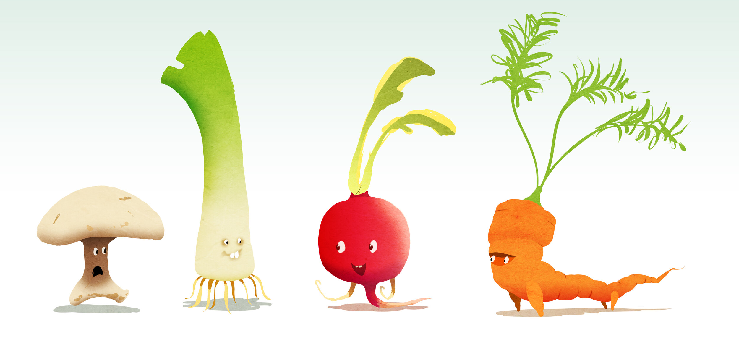 Vegetable_family_03.j  pg.jpg