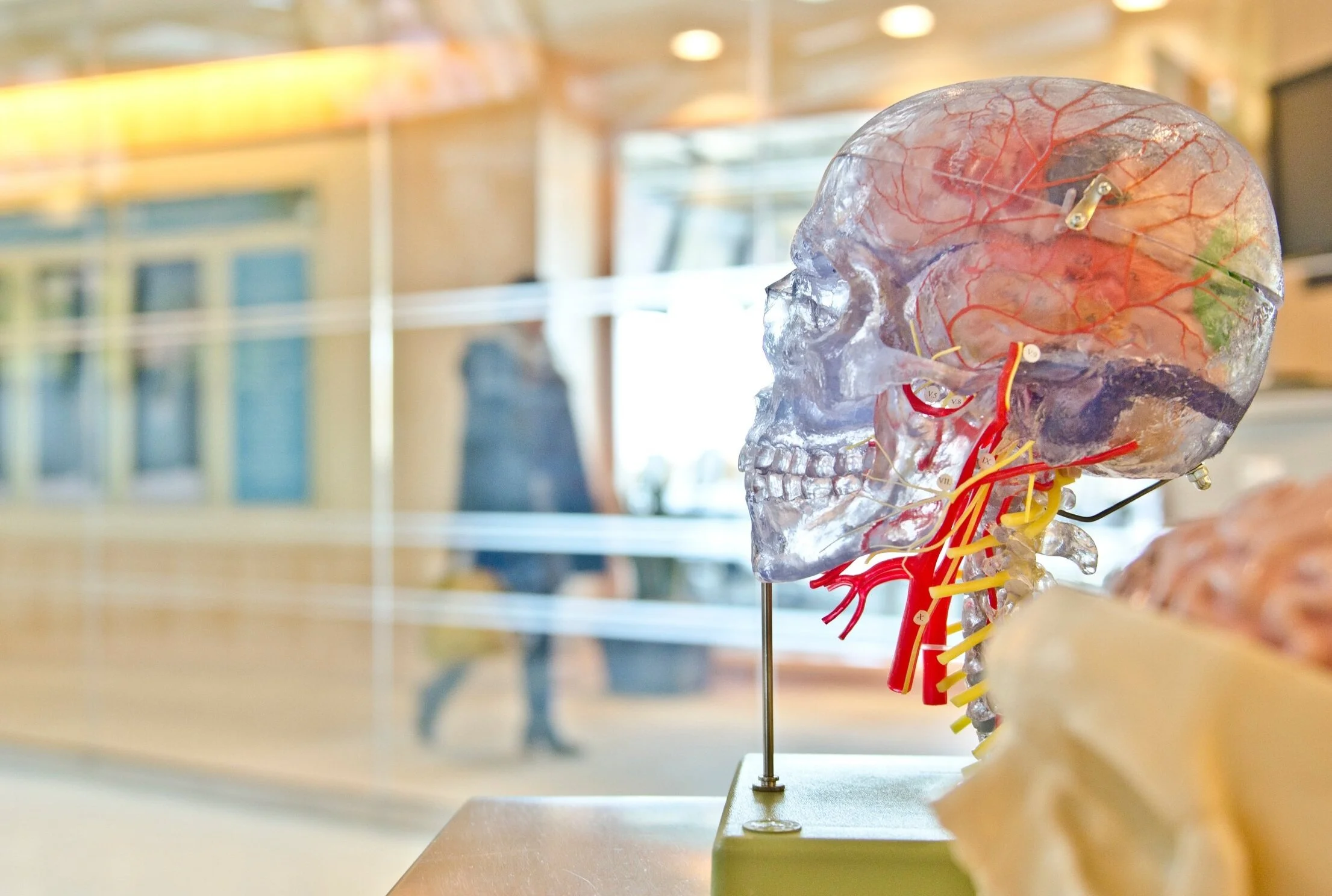 Employee recognition, neuroscience and the power of storytelling