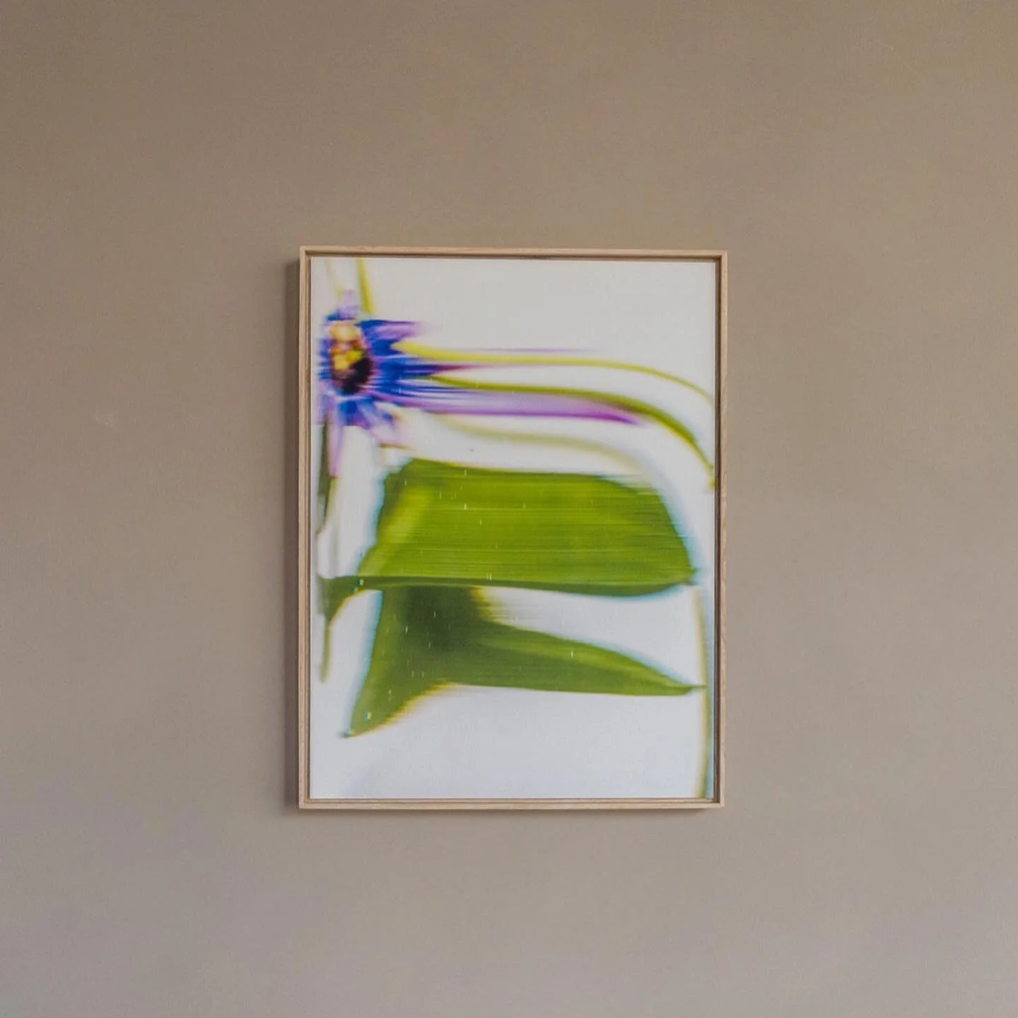 Archival pigment print on Hahnem&uuml;hle art paper,

framed in sustainable ash wood from dutch soil,

red plexiglass corners.

Size 30 x 40 centimeters, Edition of 8

Also available in Size 120 x 160, Edition of 2

price on request only

Production 