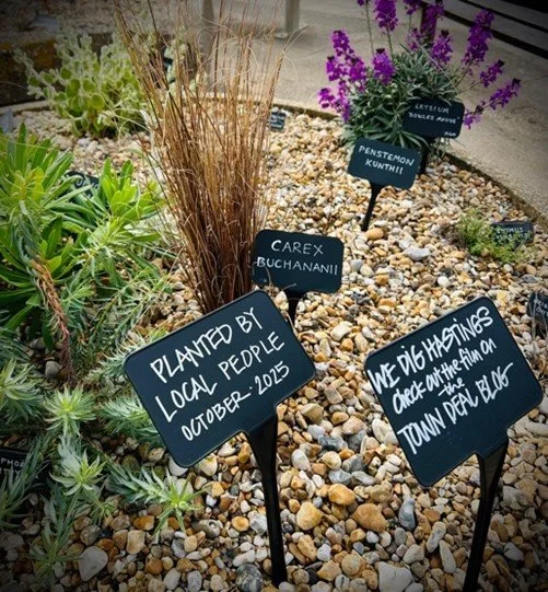 Planting for INSTAR post.jpg