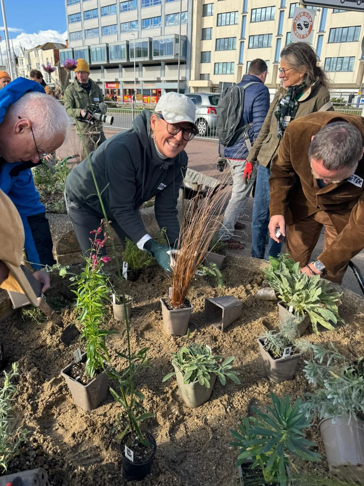 We Dig Hastings blog image 4.jpg