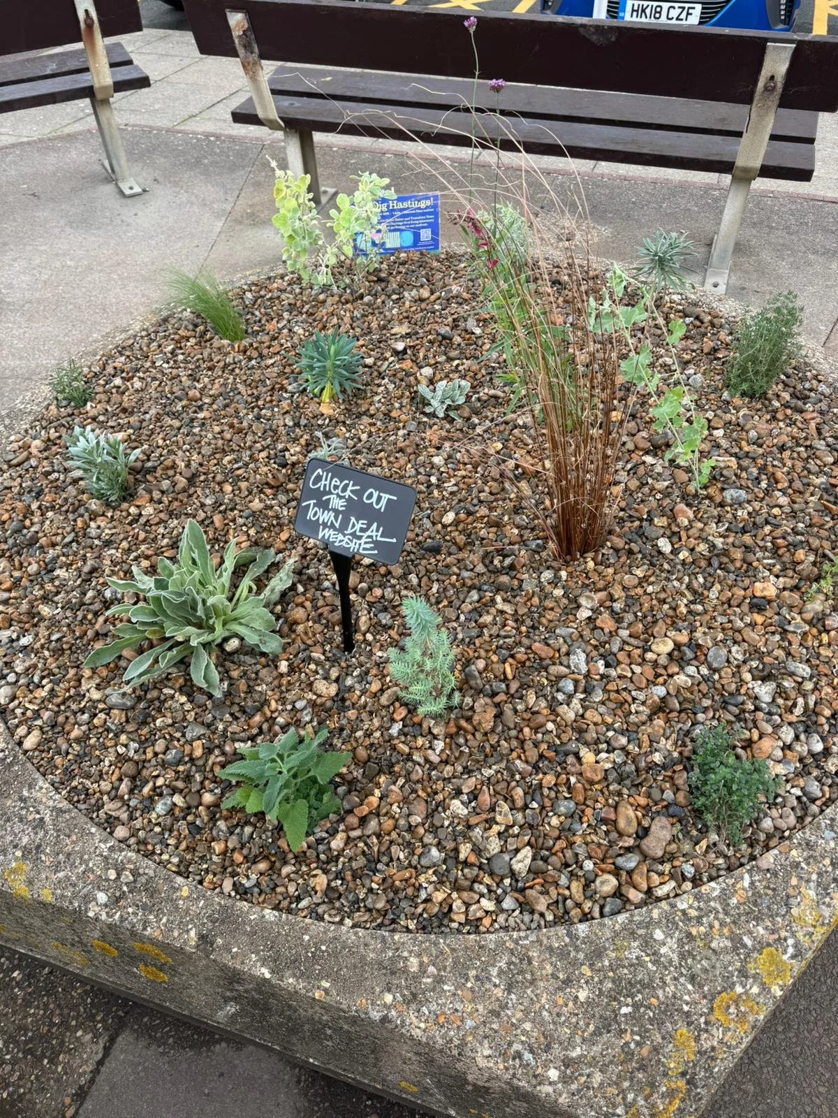 We Dig Hastings blog image 6.jpg