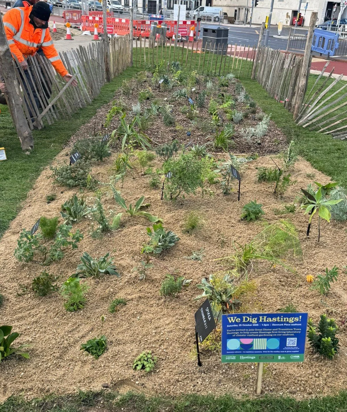 We Dig Hastings blog image 3.jpg
