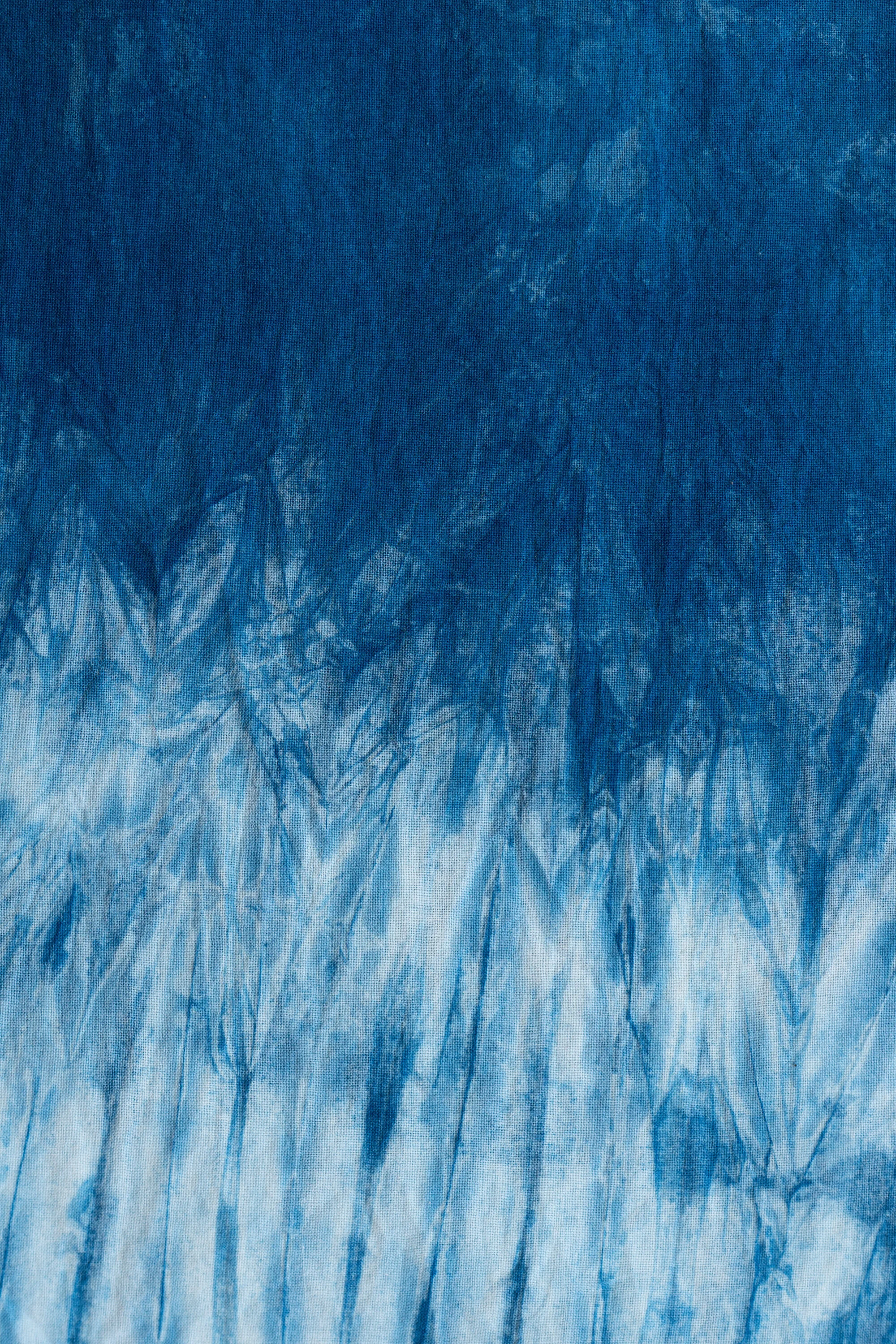 AdobeStock_275954139 copy.jpeg