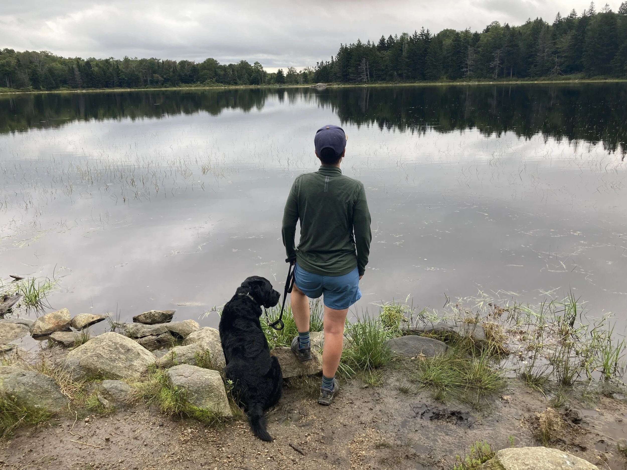 Gear Review Patagonia Baggies — Wild Wanderer Outdoor Adventure for