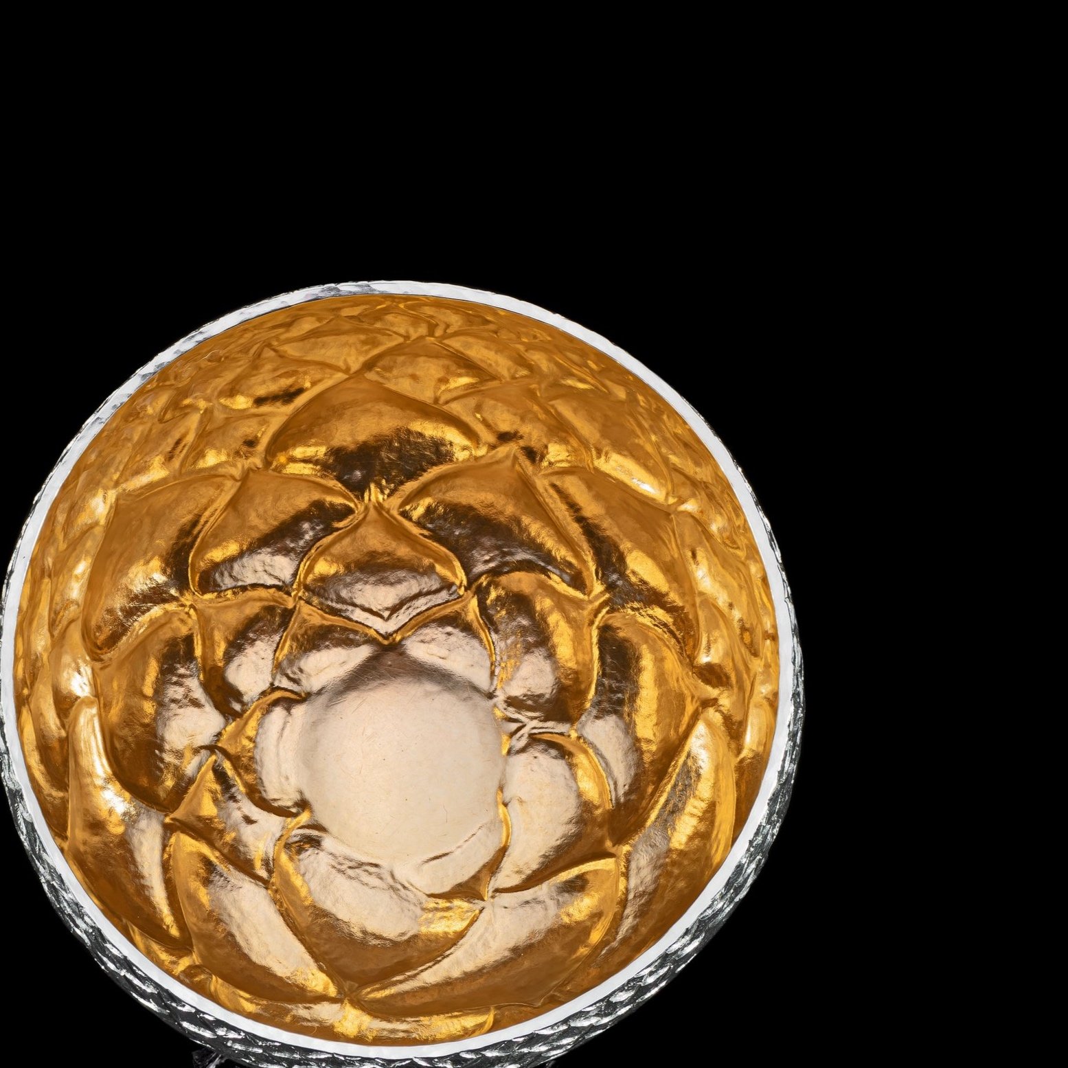 %27Acorn+Cup%27+Interior+View+-+Abigail+Brown.jpg