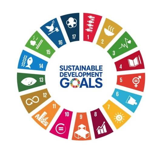 Q & A - Sustainability