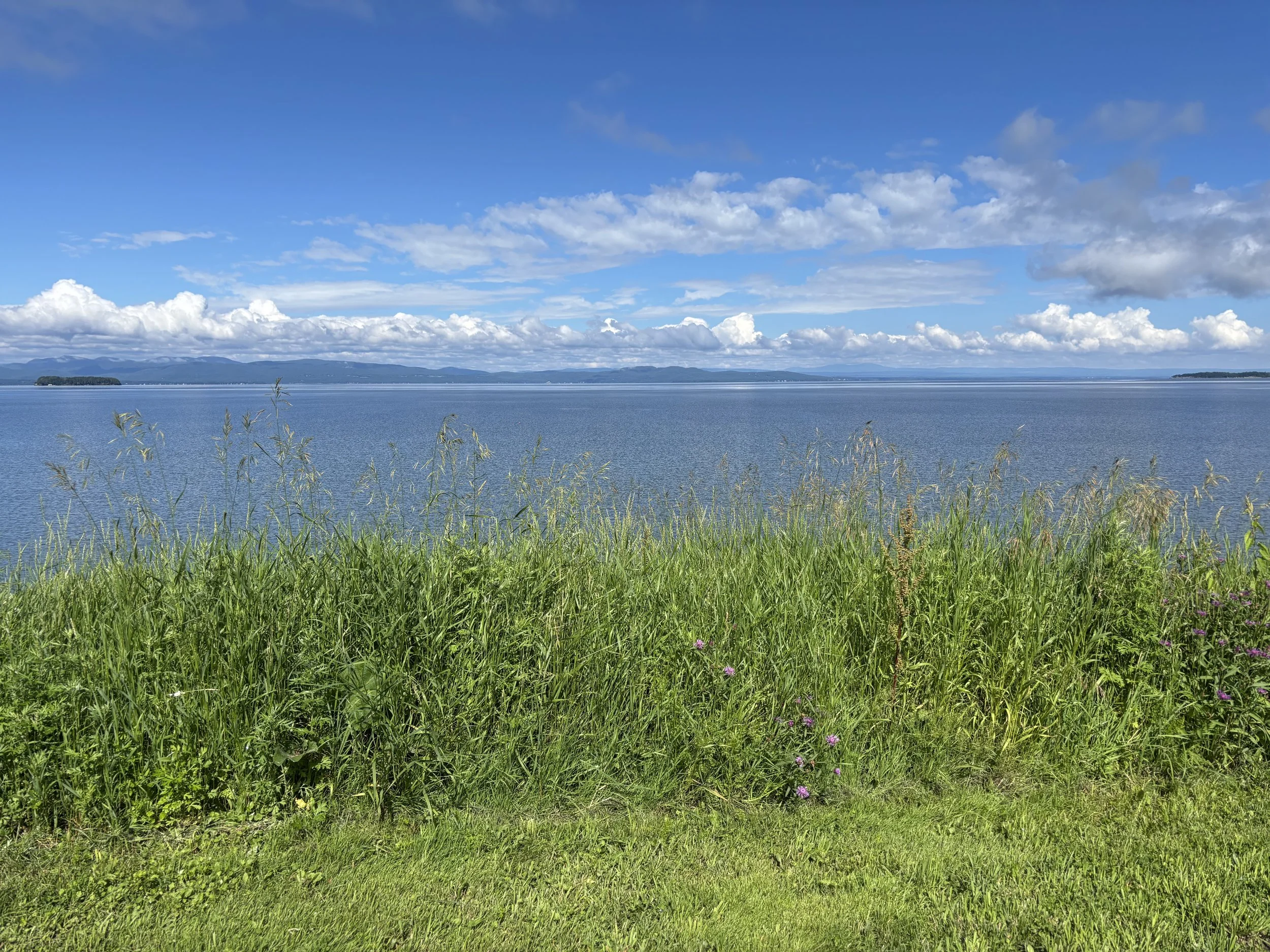 From the bike path near Hulu