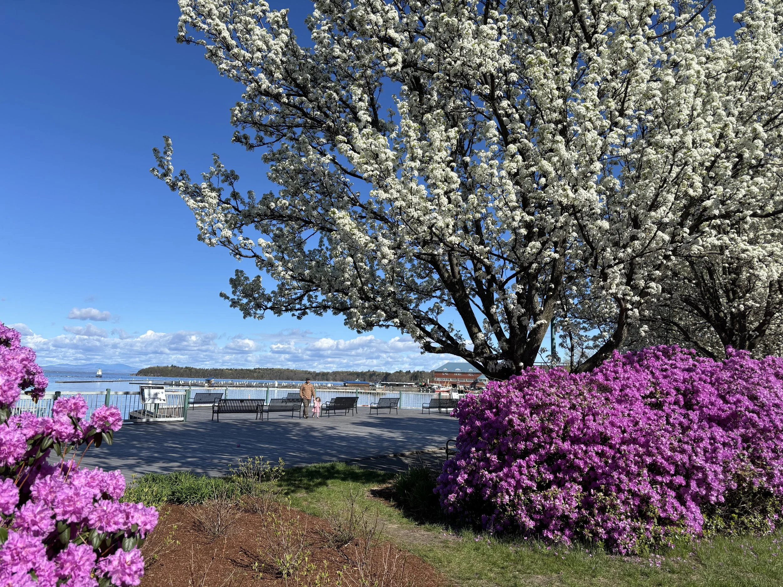 Burlington waterfront boardwalk