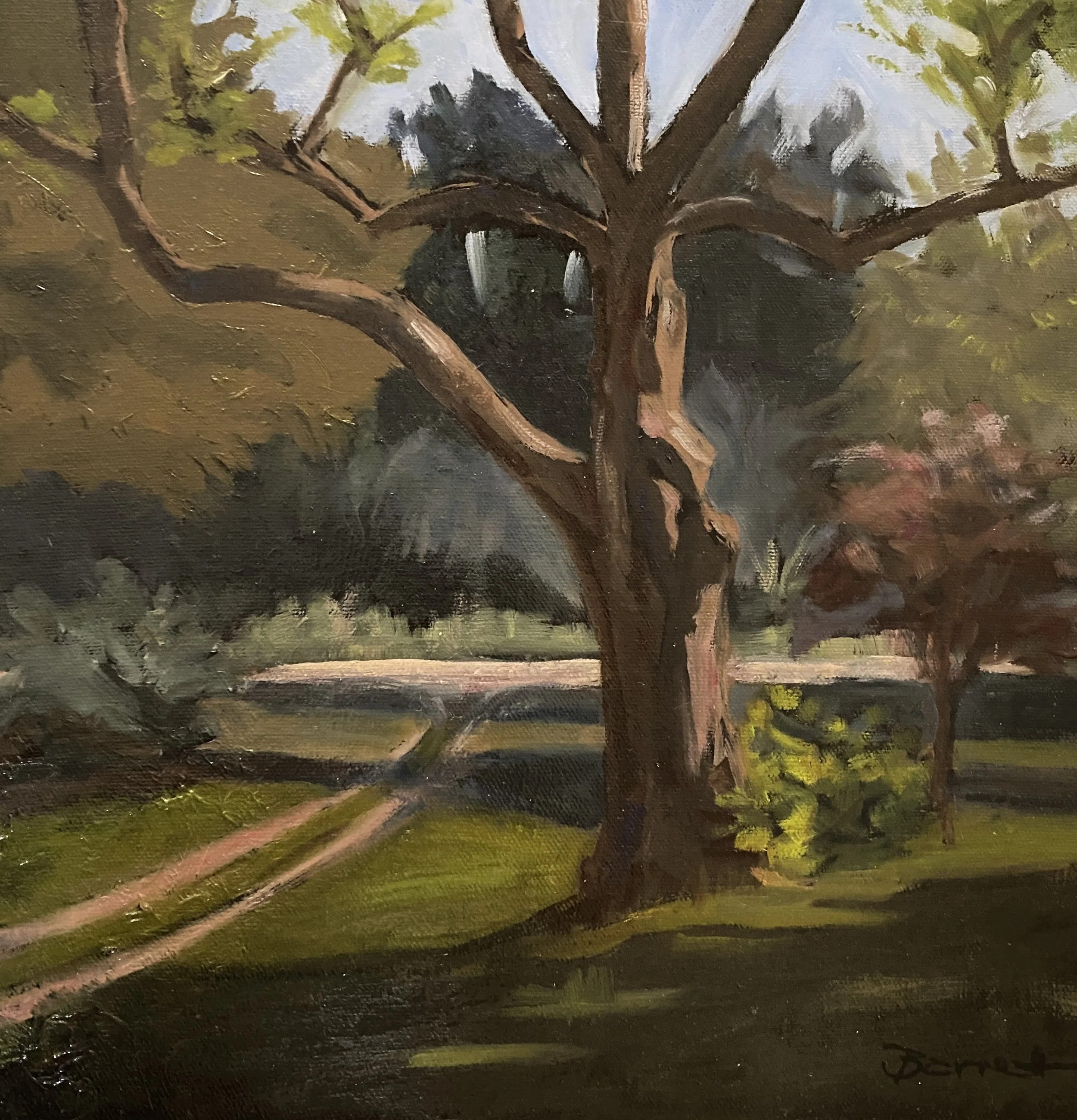 Old Tree, oil on panel, 12x12”, $290