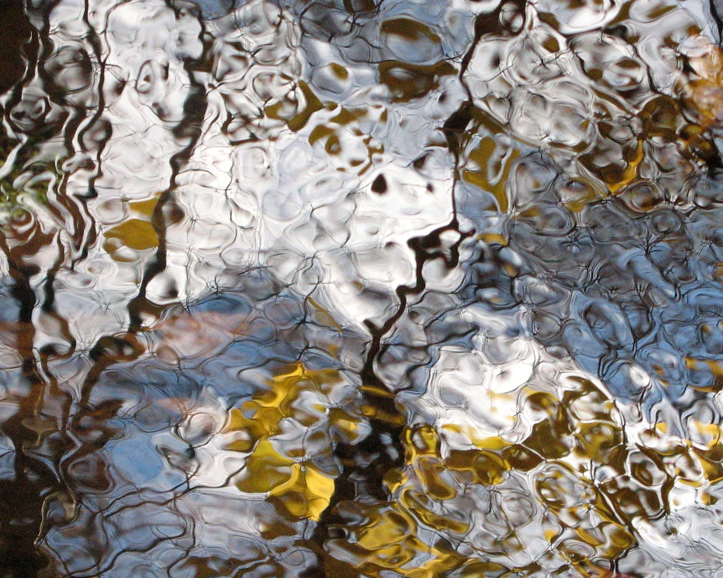 Gold Leaf, photograph, 20" x 16" matted and framed to 26" x 22", $200