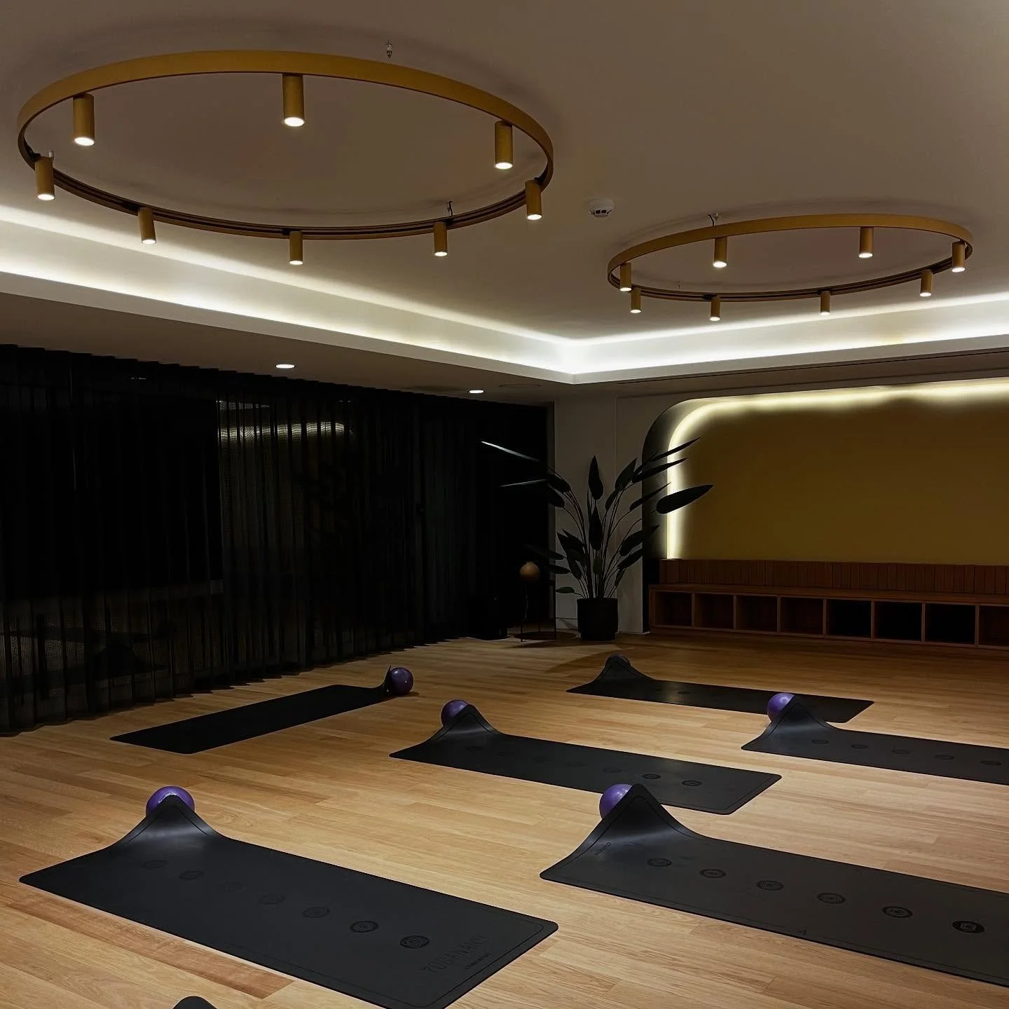 *NEW CLASS*

Fridays 8am Barre @yoganandstudio Block, City Centre from November 28th ✨

SO excited to be taking over this Friday class until Spring 2026 whilst Lucy is away! 

Will be magic to teach Barre again ~ which was truly my first love when it