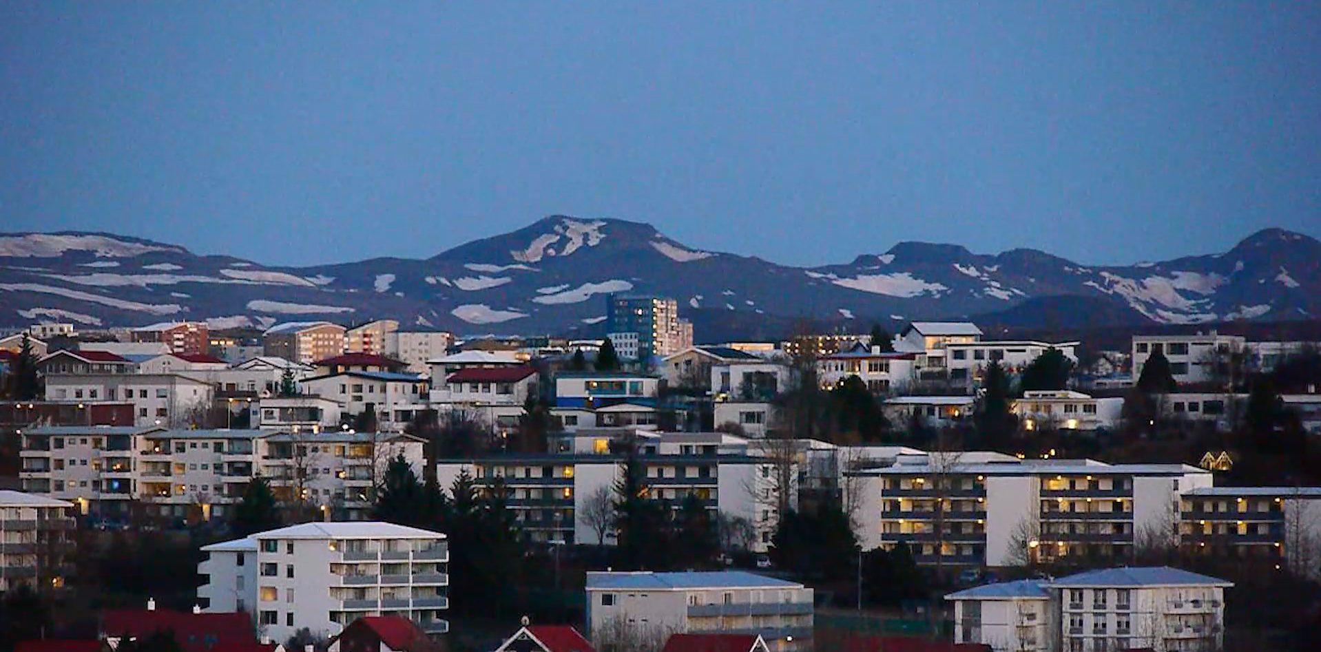 Screenshot 2026-02-01 134502.png