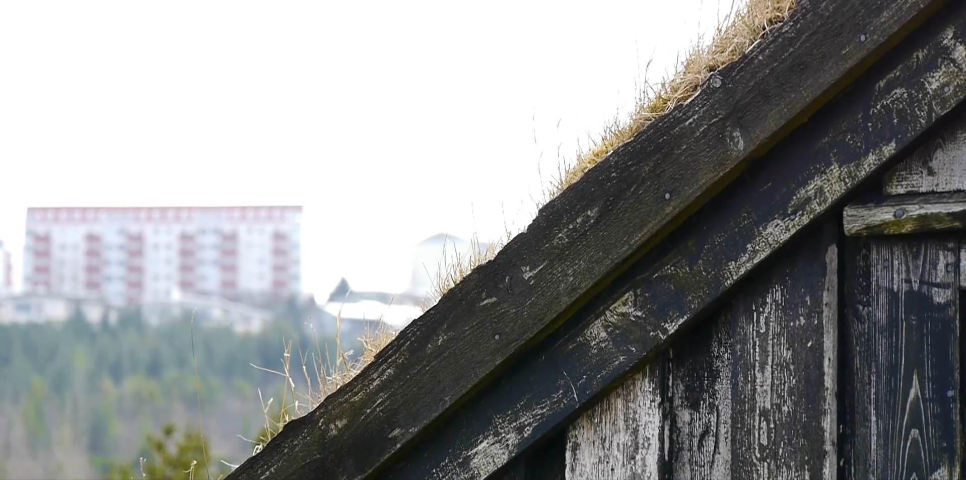 Screenshot 2026-02-01 134928.png