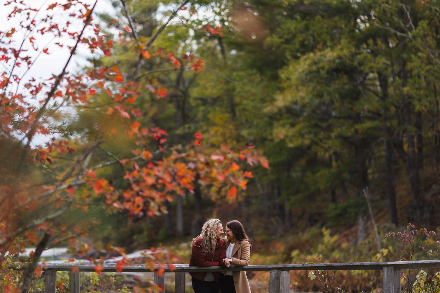 Frontenac-Park-Autumn-Engagement-15.jpg