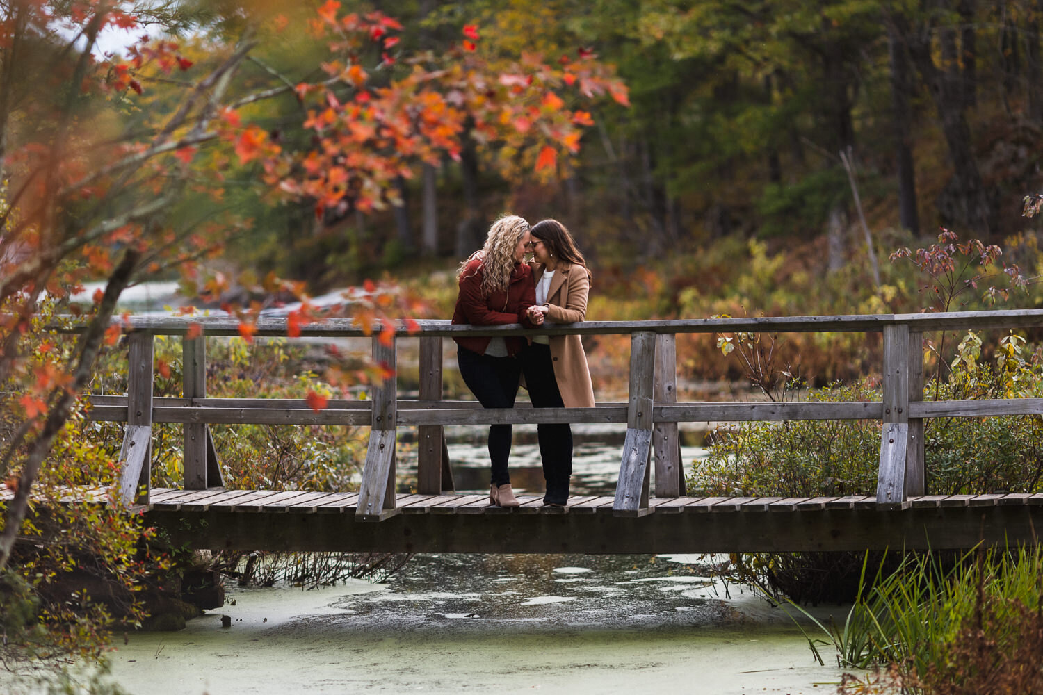 Frontenac-Park-Autumn-Engagement-14.jpg