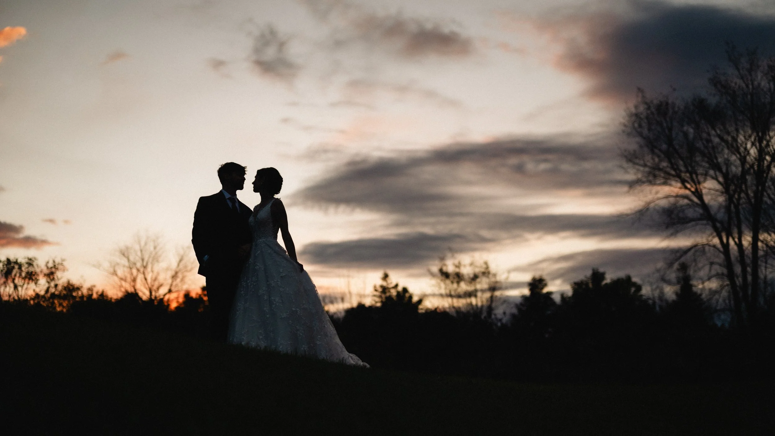 Silhouette of a couple in wedding attire facing each other at sunset with trees and cloudy sky in the background.
