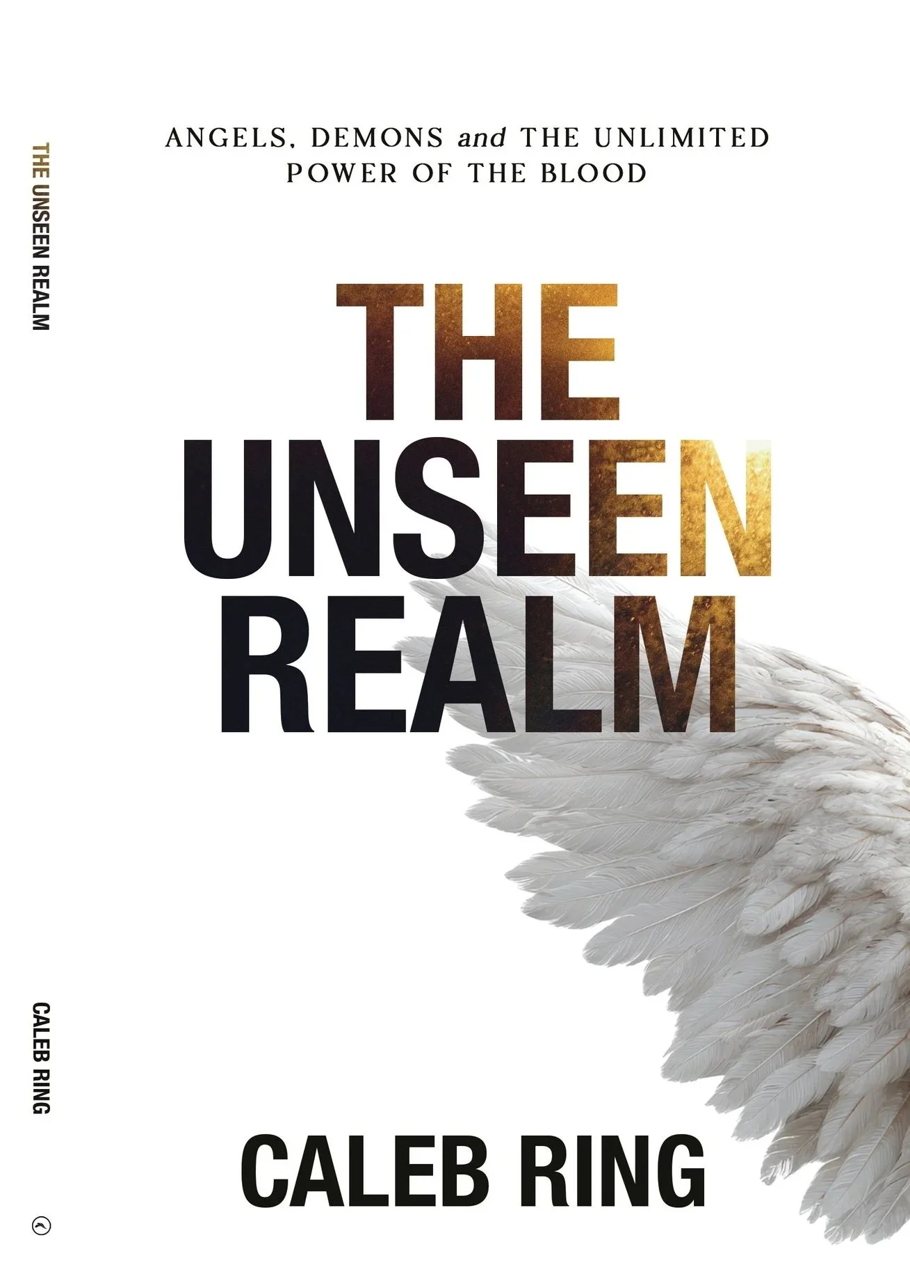 (Pre-Order) The Unseen Realm - Pastor Caleb Ring