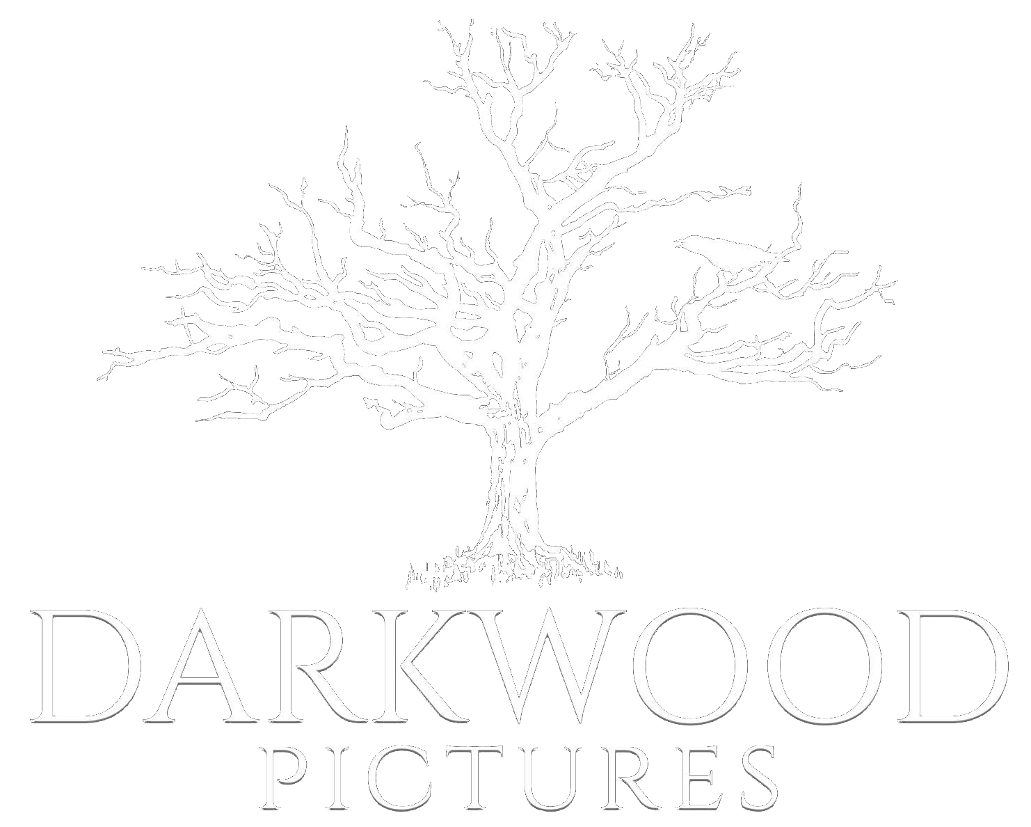 Darkwood Pictures