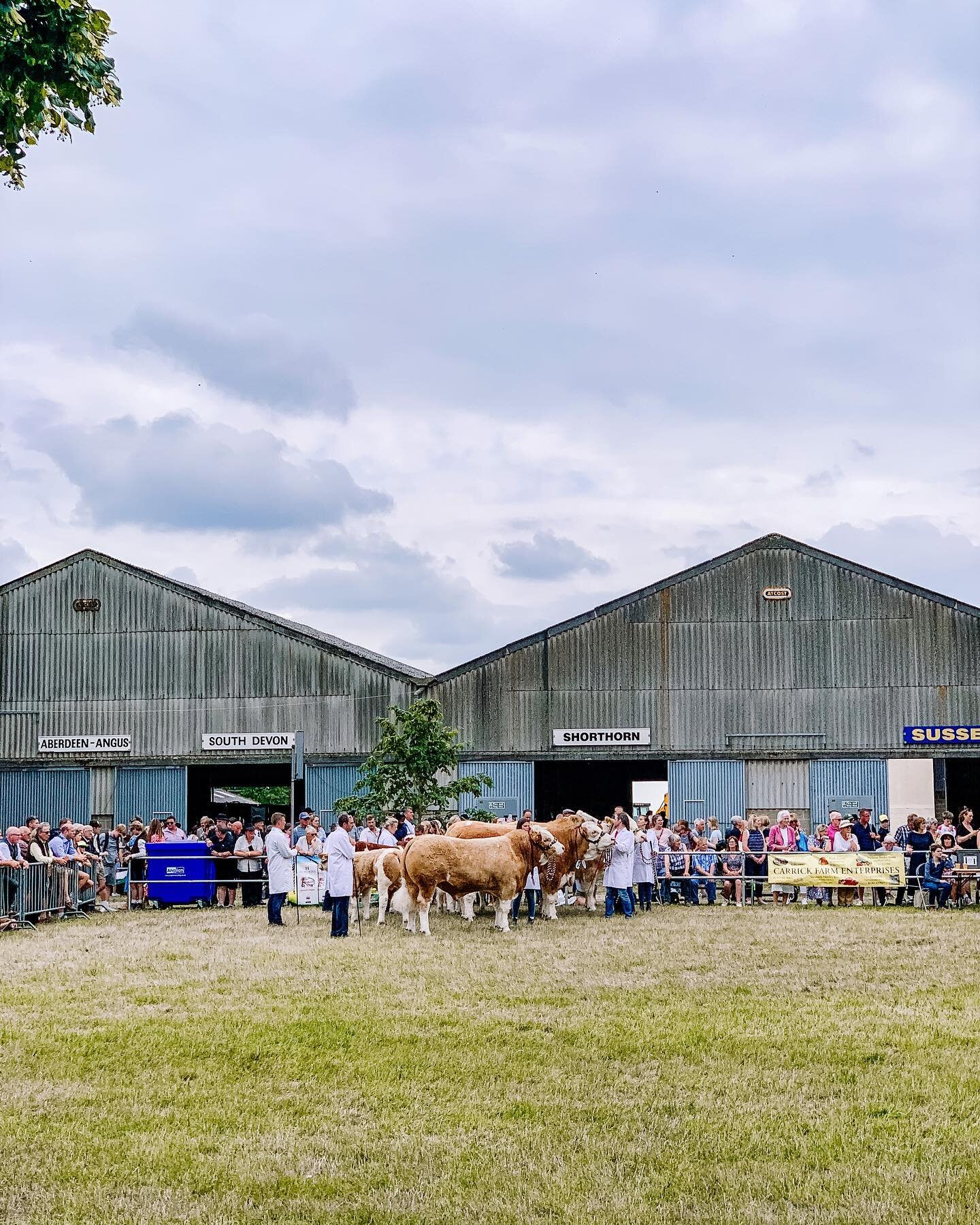 It&rsquo;s been years since I went to the  @royalnorfolkshow and it didn&rsquo;t disappoint. 

So proud to be living in this wonderful county full to brim of incredible people, innovative business (big and small!), terrific arts scene and, of course,