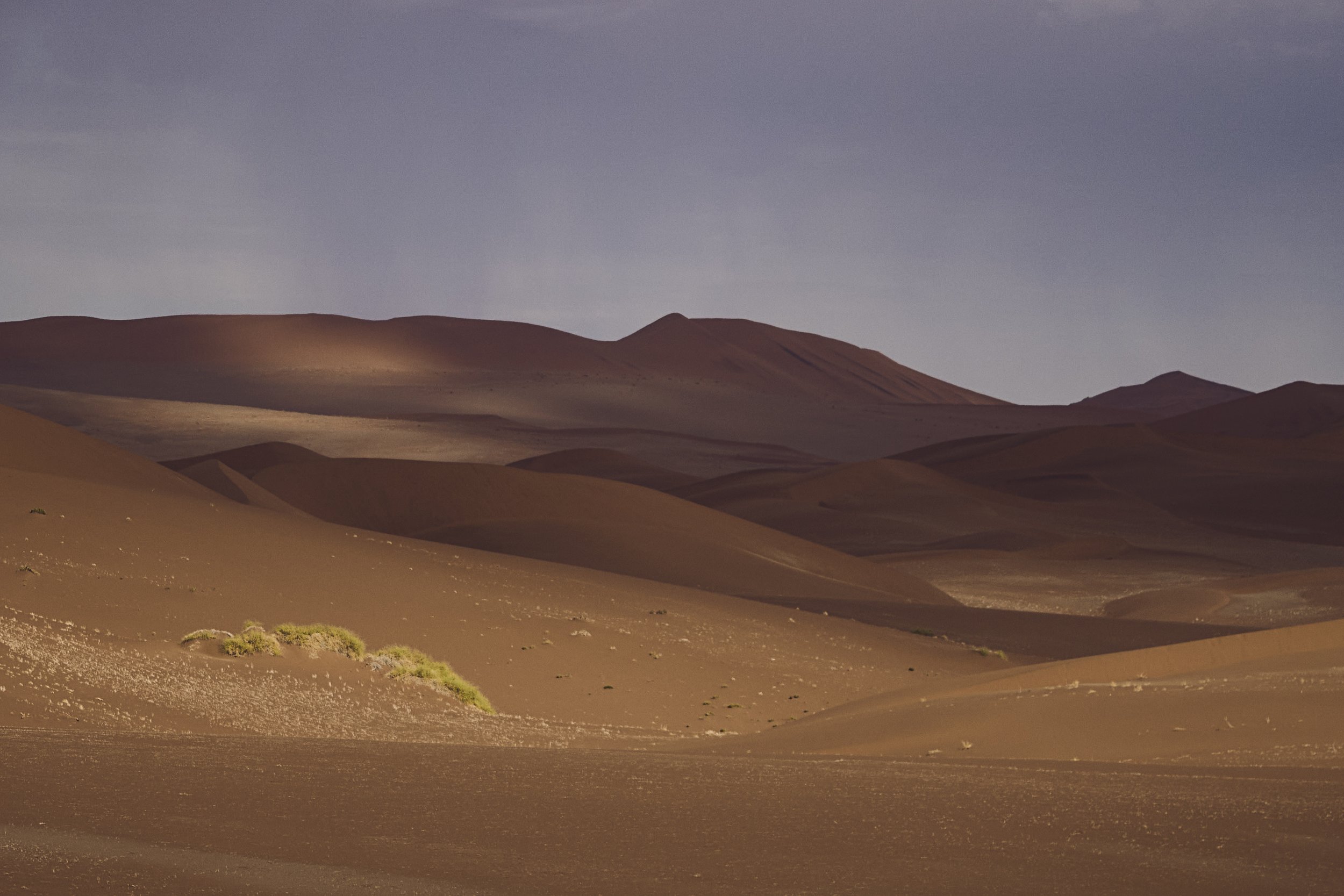 _FK80773 by Felix Kunze.jpg