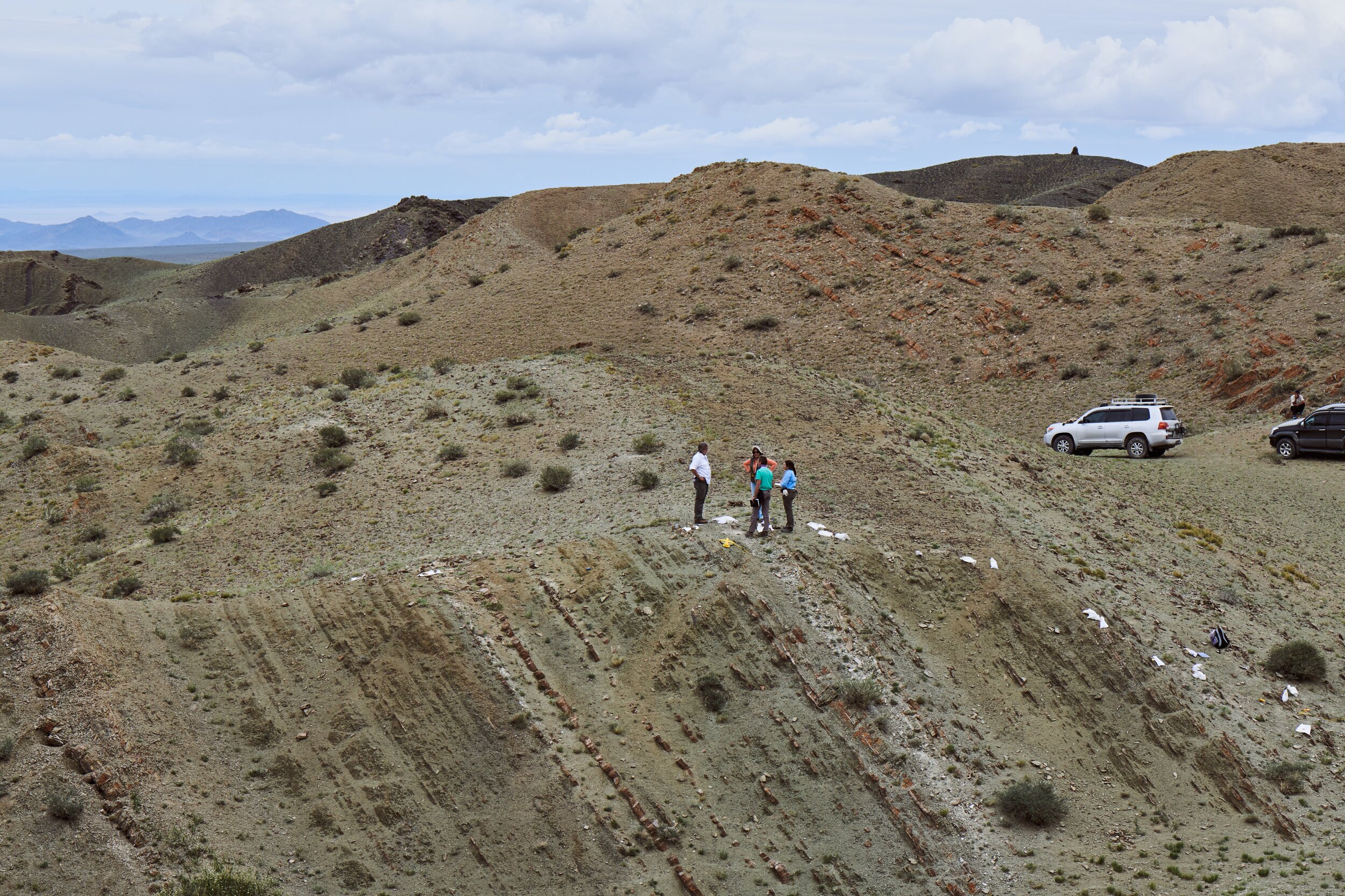 Their work entailed meticulous sampling and analysis of every single strata along the site.