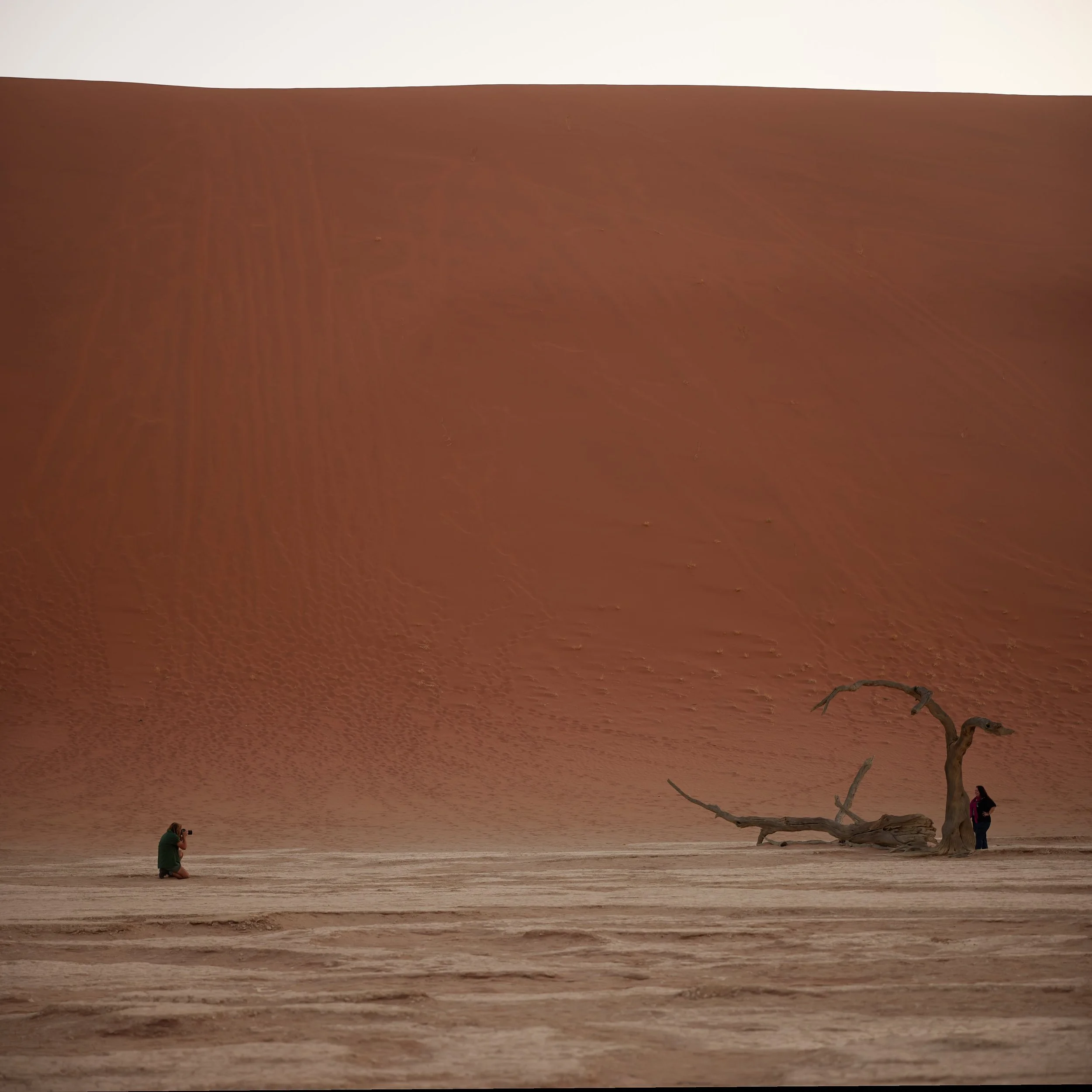 B29A0775_Panorama by Pratik Naik.JPG