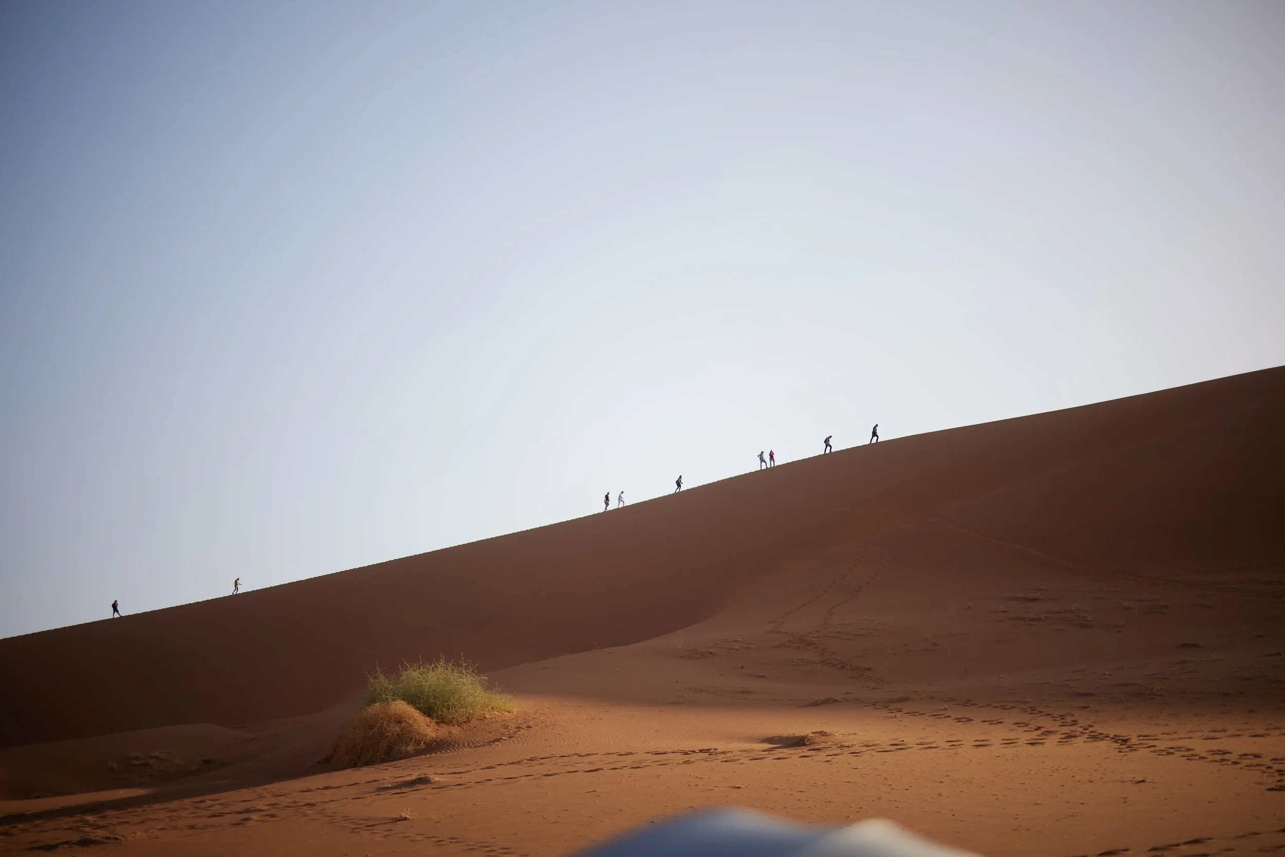 B29A1373 by Pratik Naik.JPG