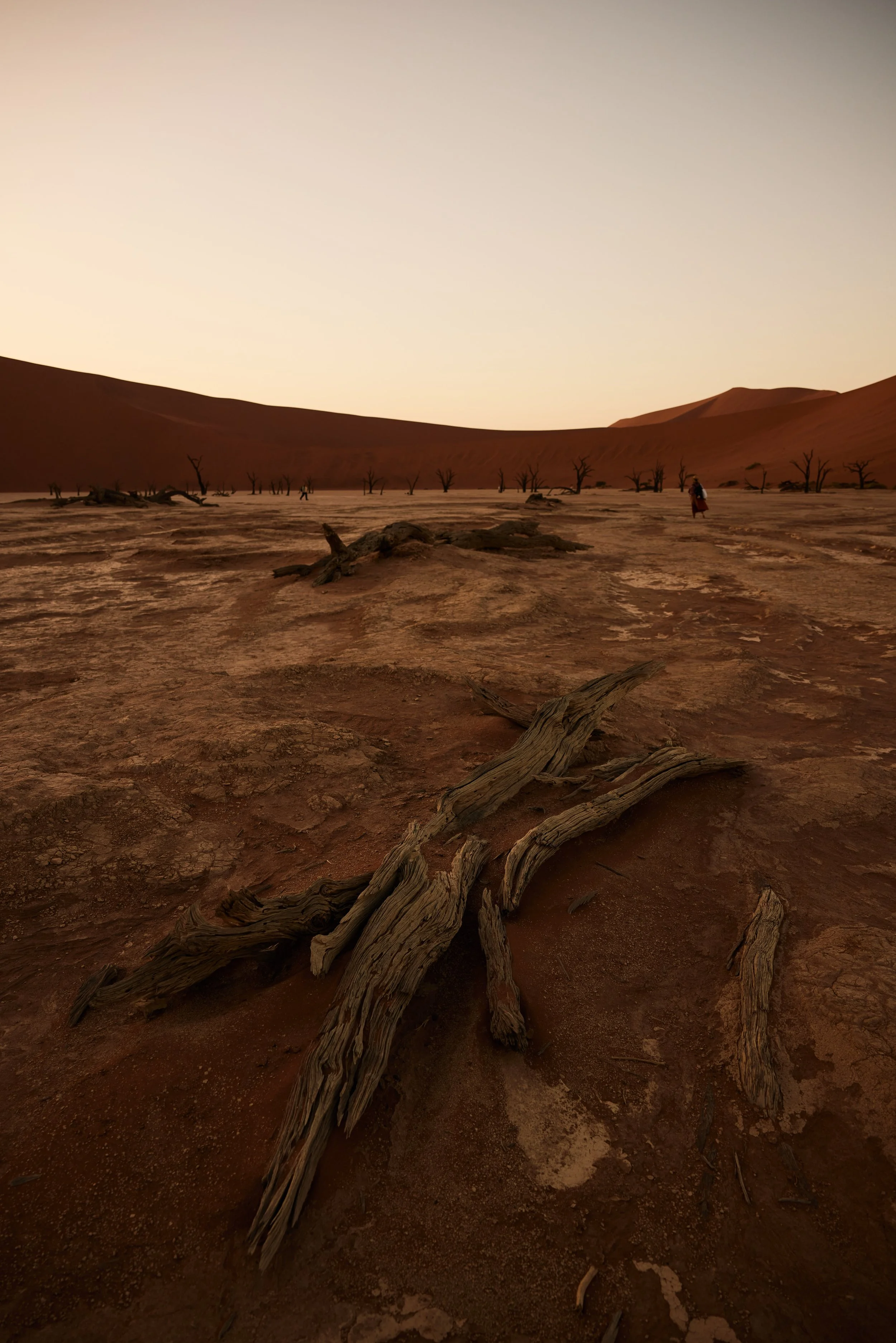 B29A0766 by Pratik Naik.JPG