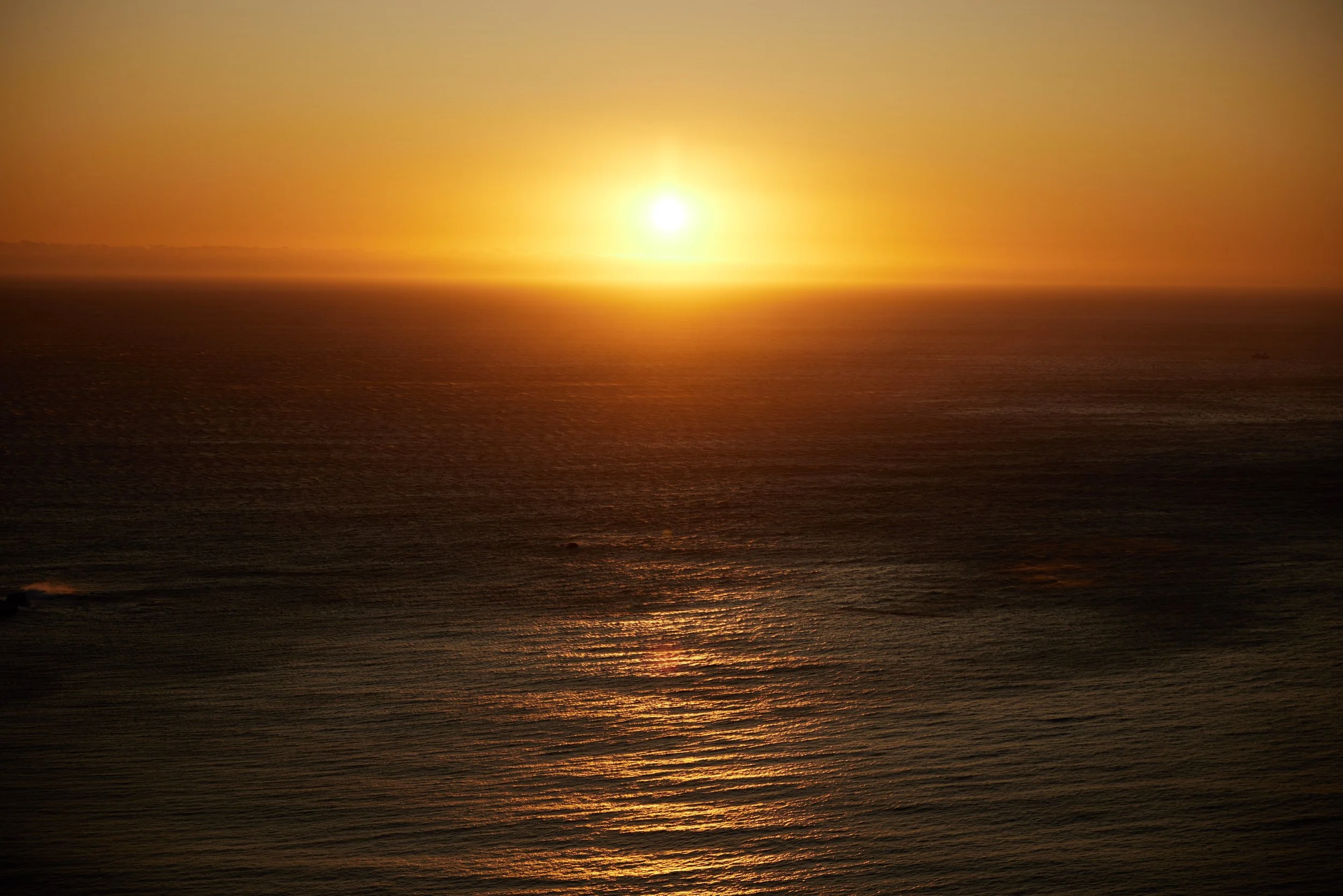 B29A9359 by Pratik Naik.JPG