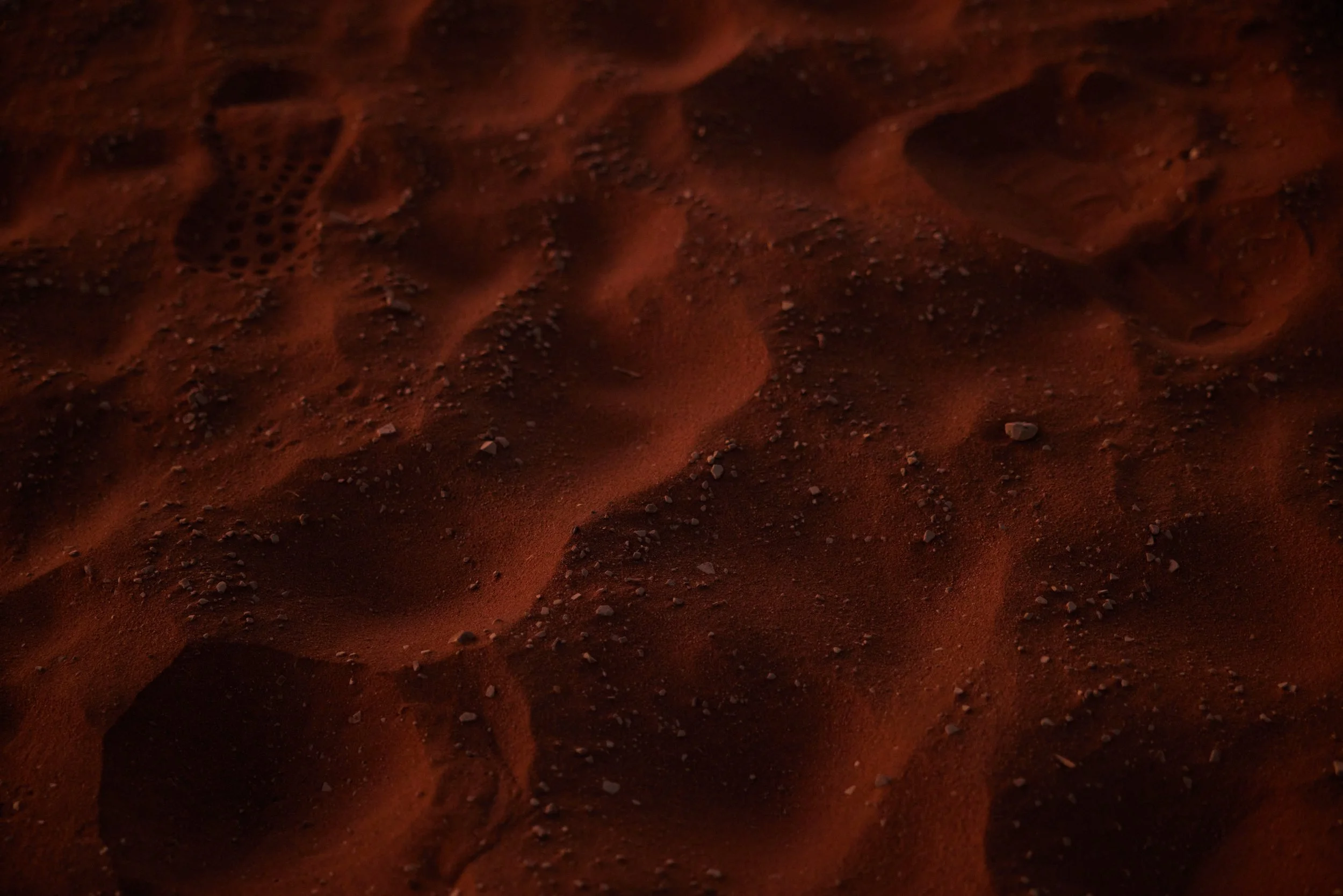 B29A0681 by Pratik Naik.JPG