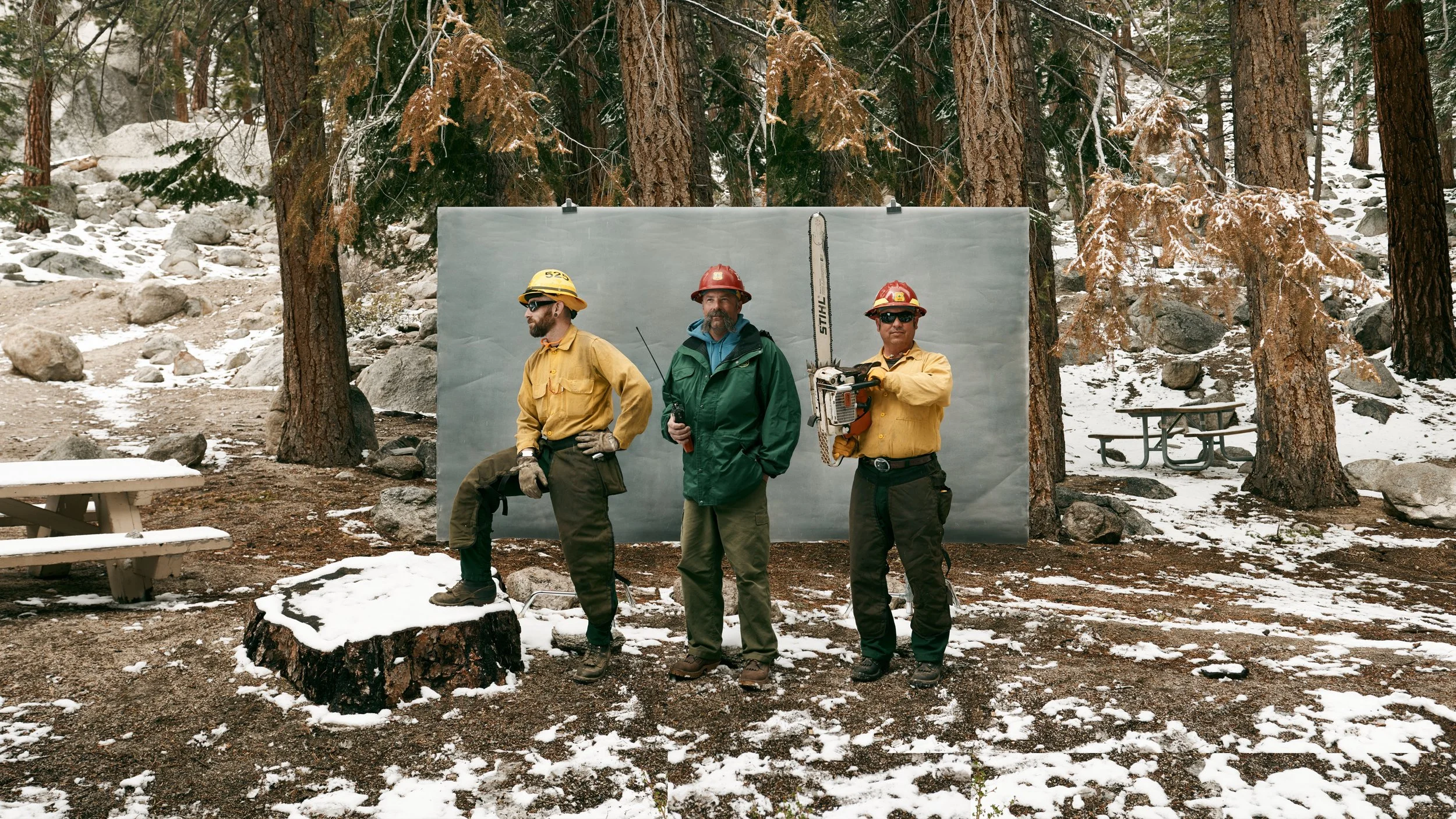 Composite Tree Surgeons.jpg