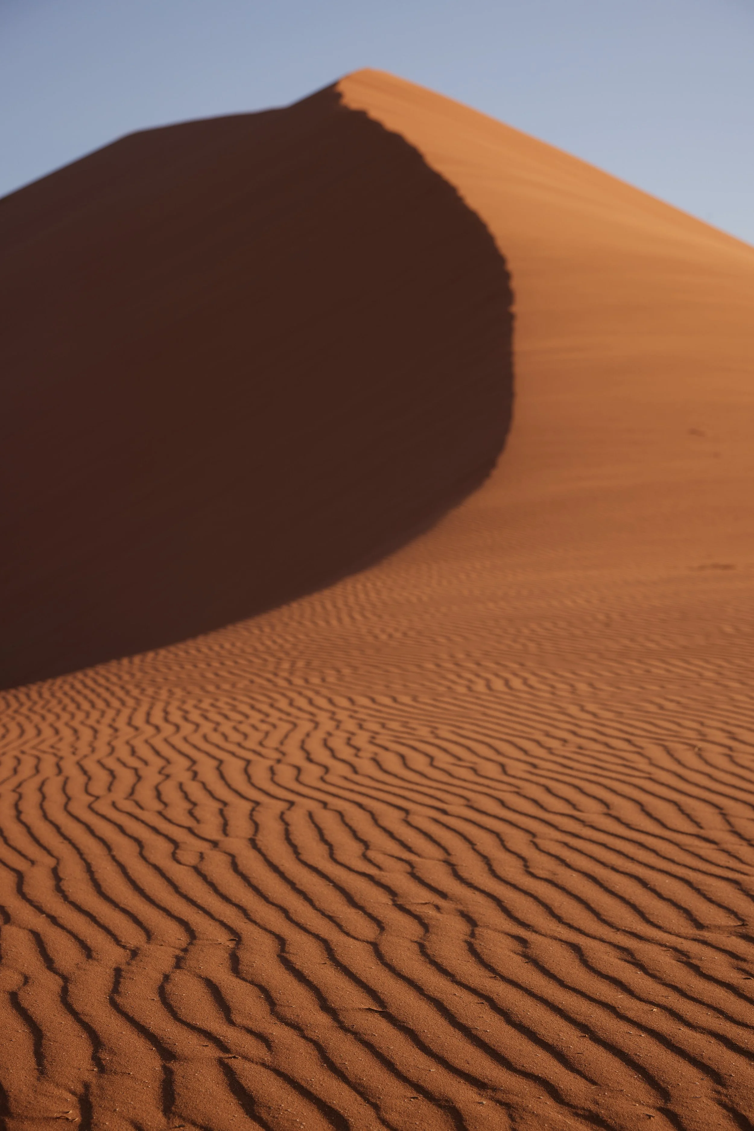 B29A1685 by Pratik Naik.JPG