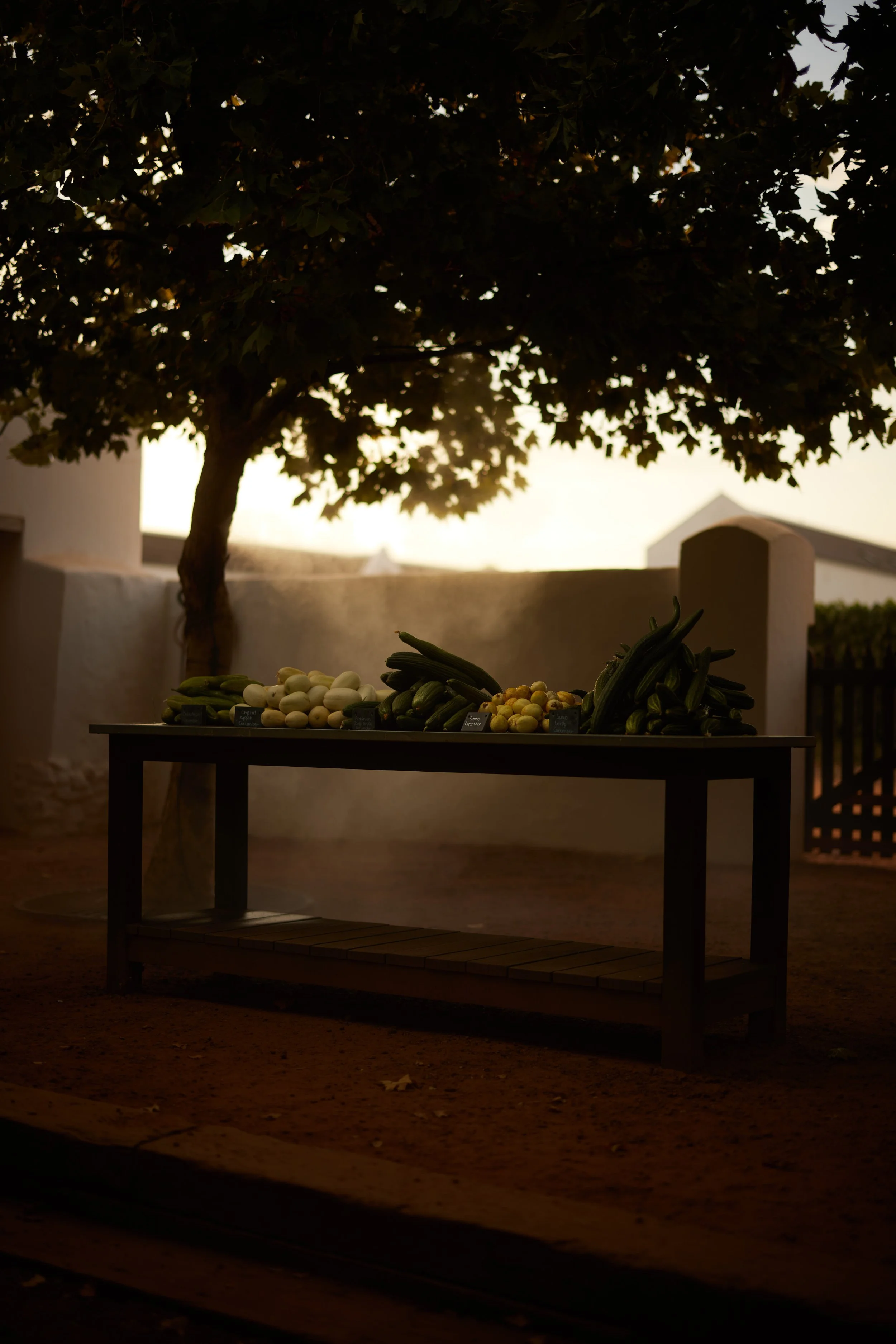 B29A4485 by Pratik Naik.JPG