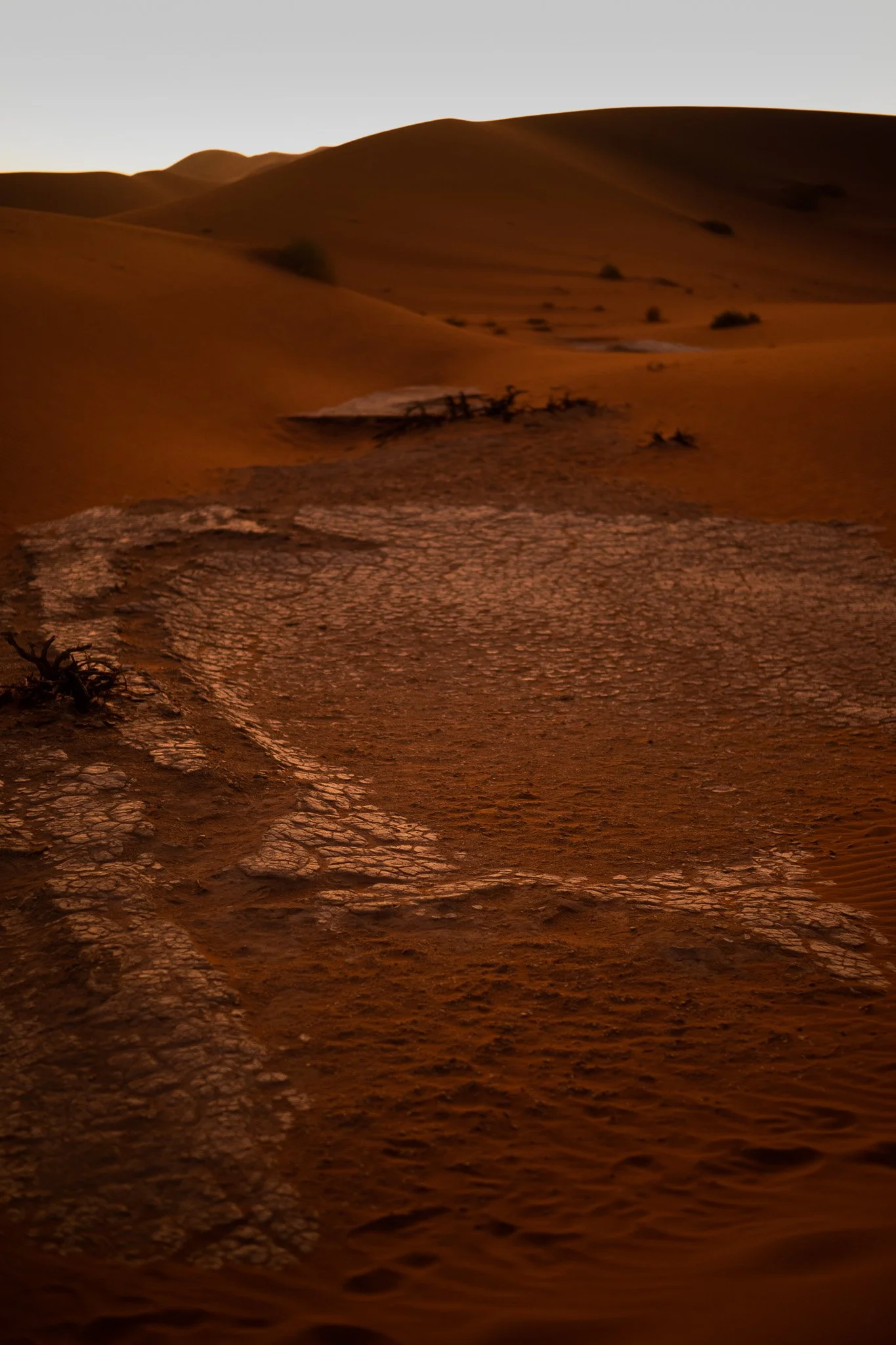 ALEXP_0225- by Alexandra Pobortscha.JPG