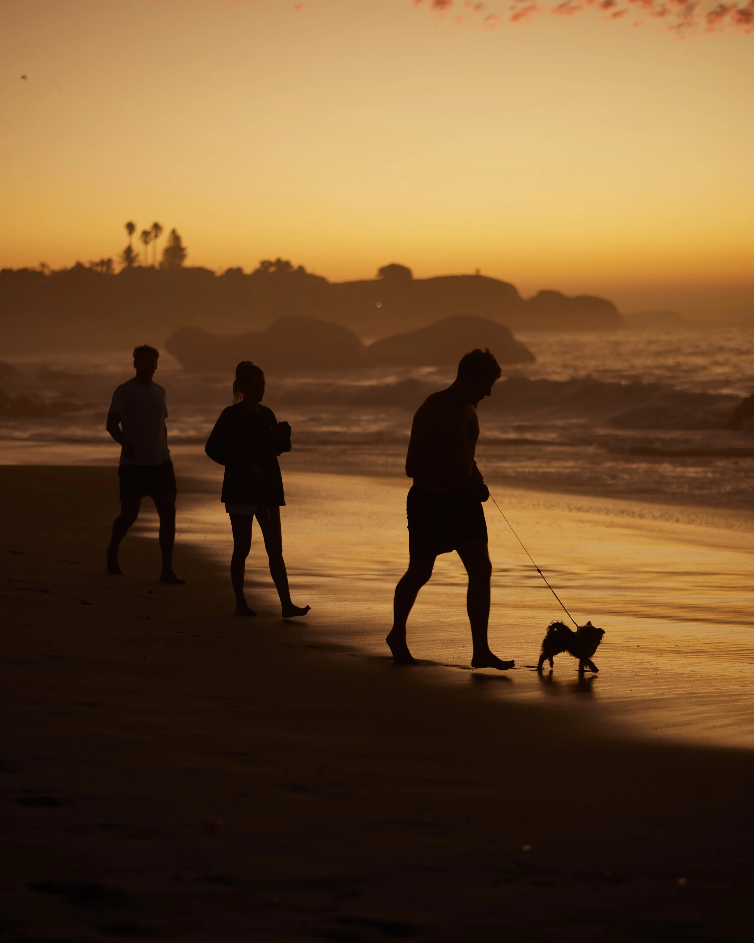 B29A3952 by Pratik Naik.JPG