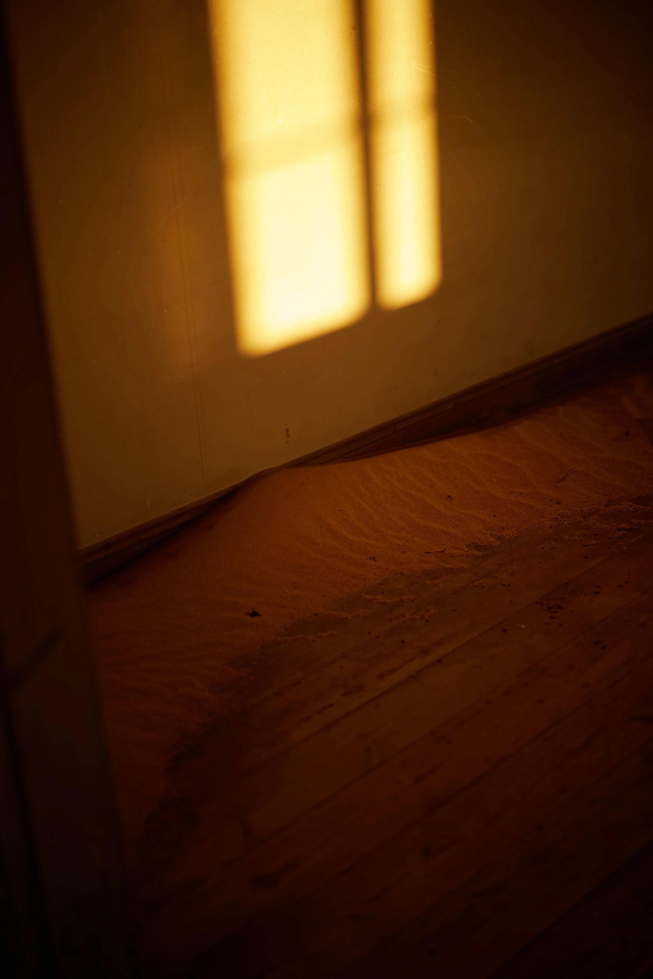 B29A3182 by Pratik Naik.JPG