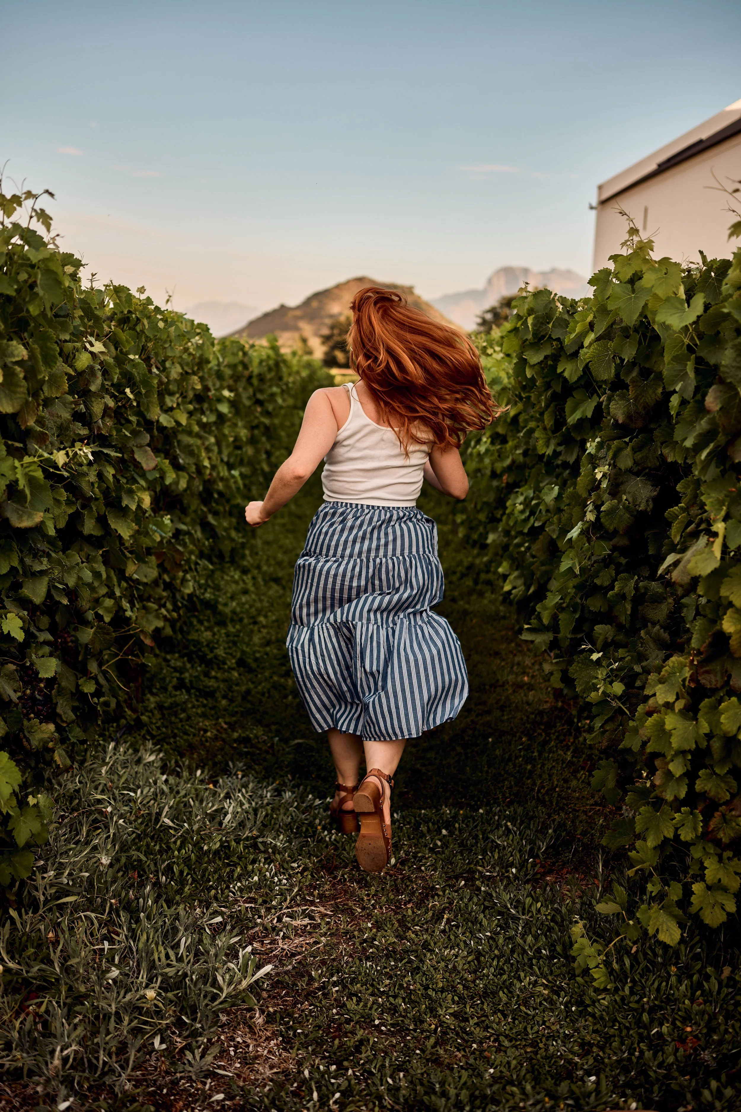 FK2_4099 by Felix Kunze.JPG