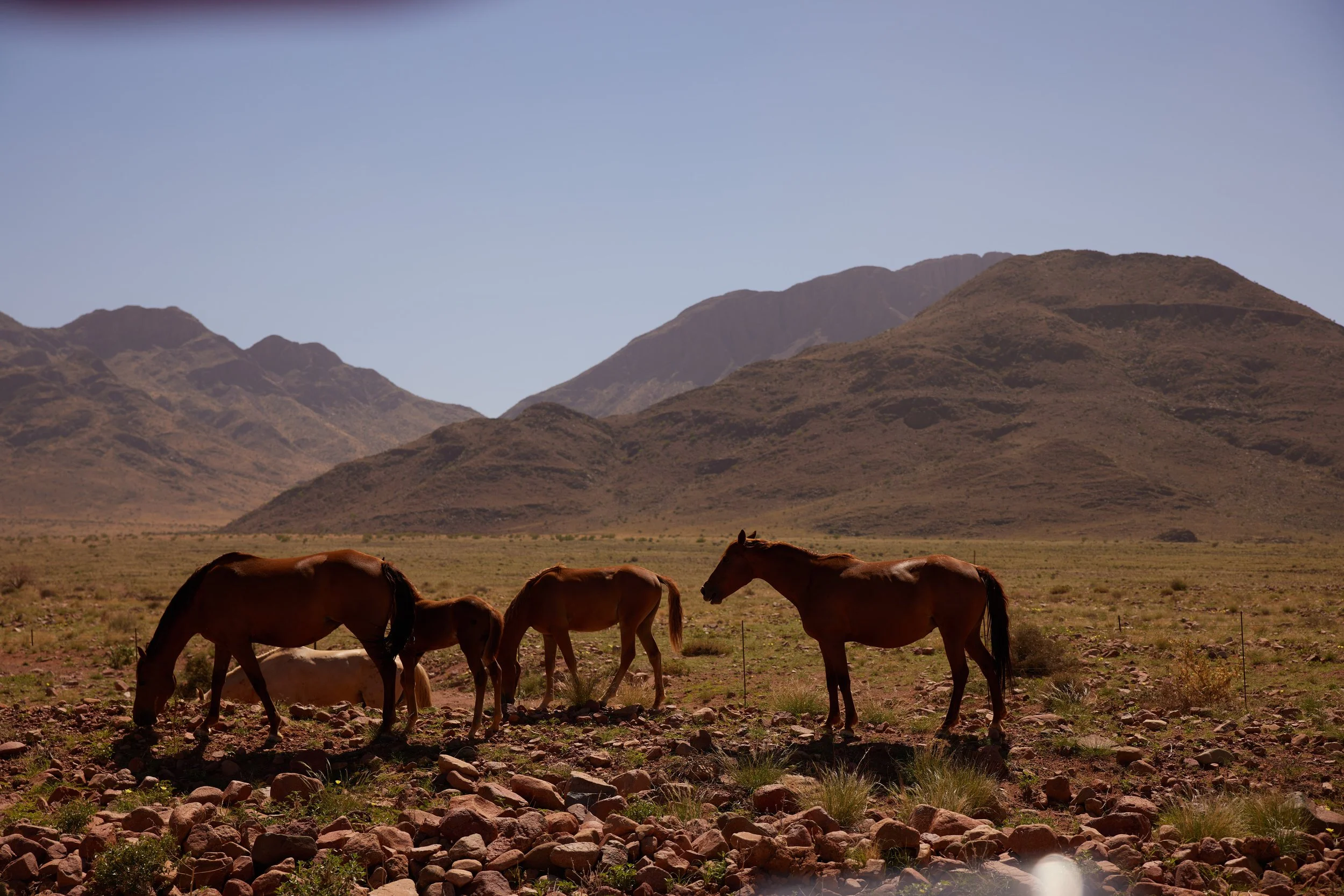 B29A2438 by Pratik Naik.JPG