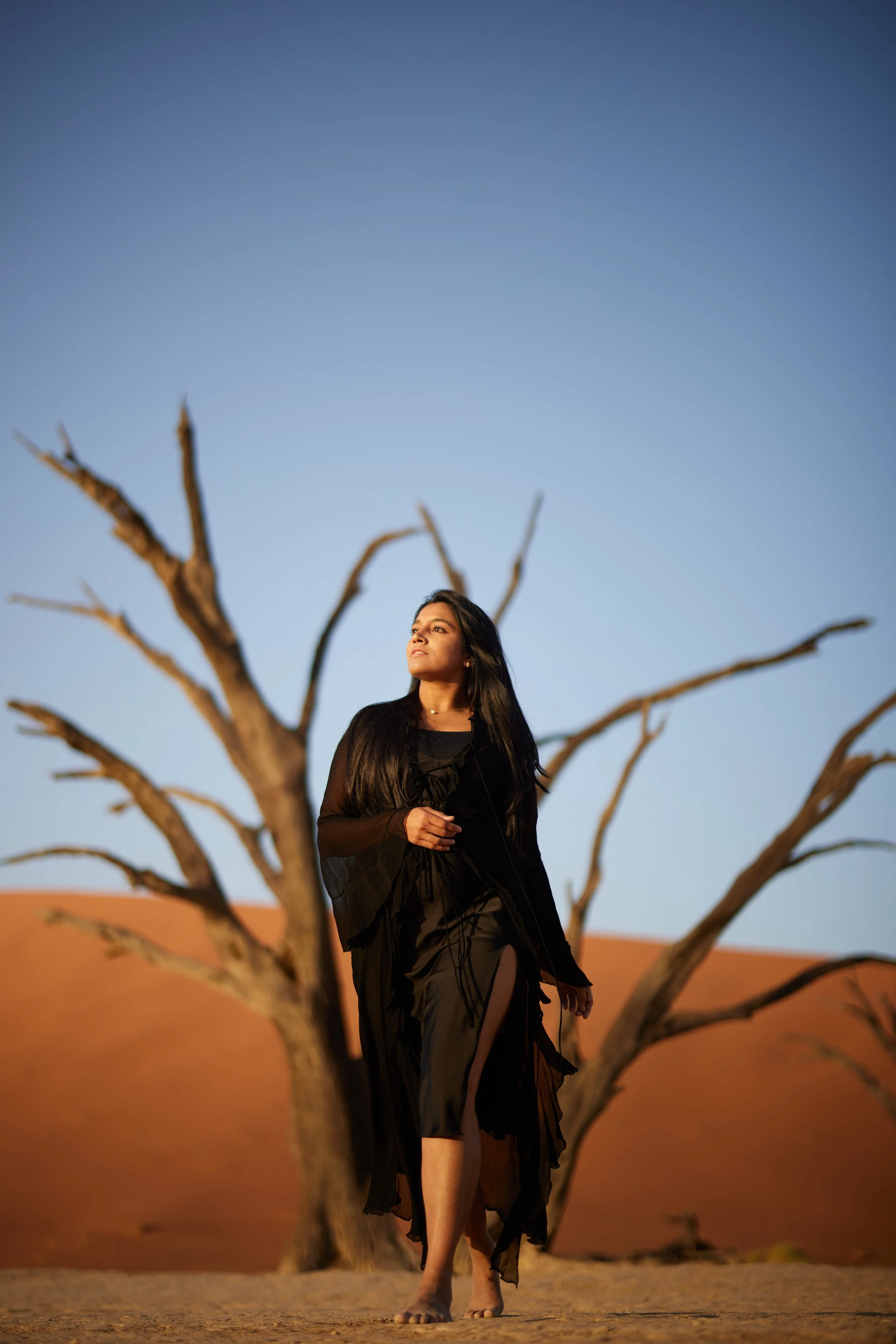 B29A1068 by Pratik Naik.JPG