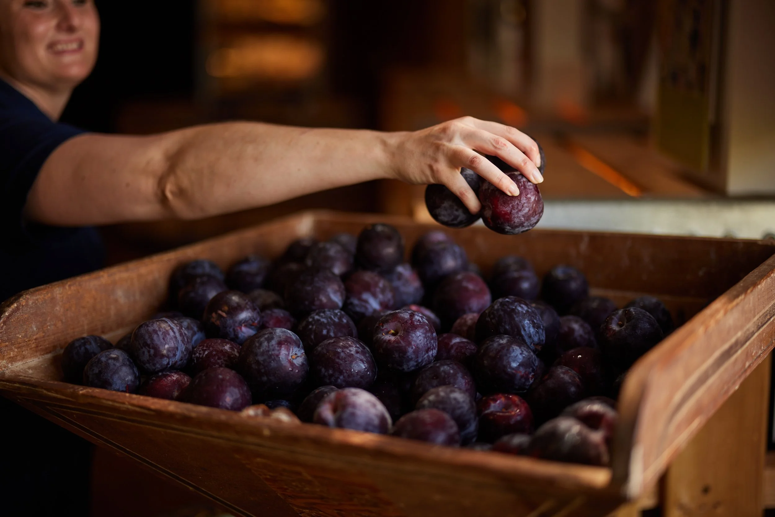 B29A4011 by Pratik Naik.JPG