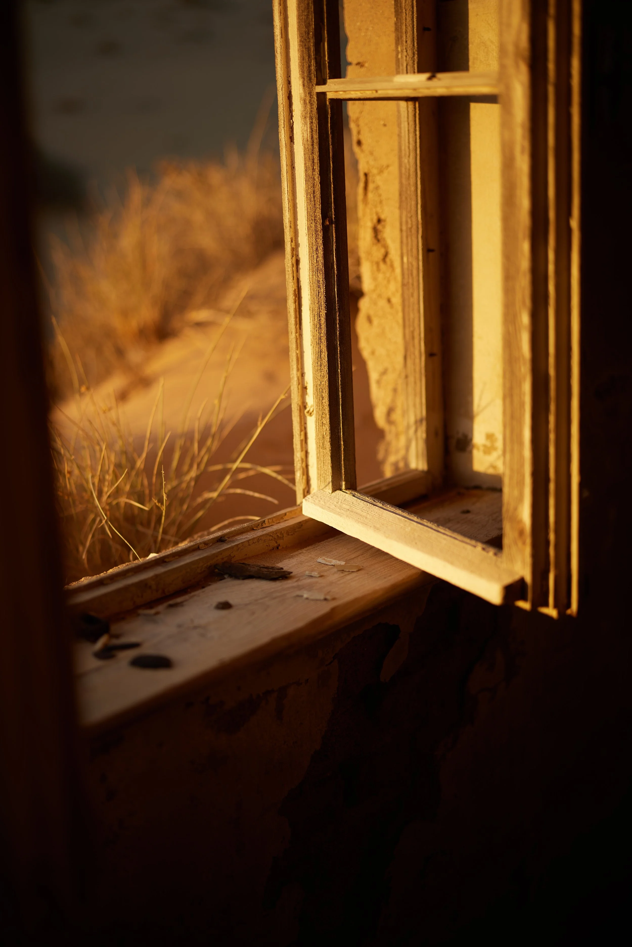 B29A3179 by Pratik Naik.JPG