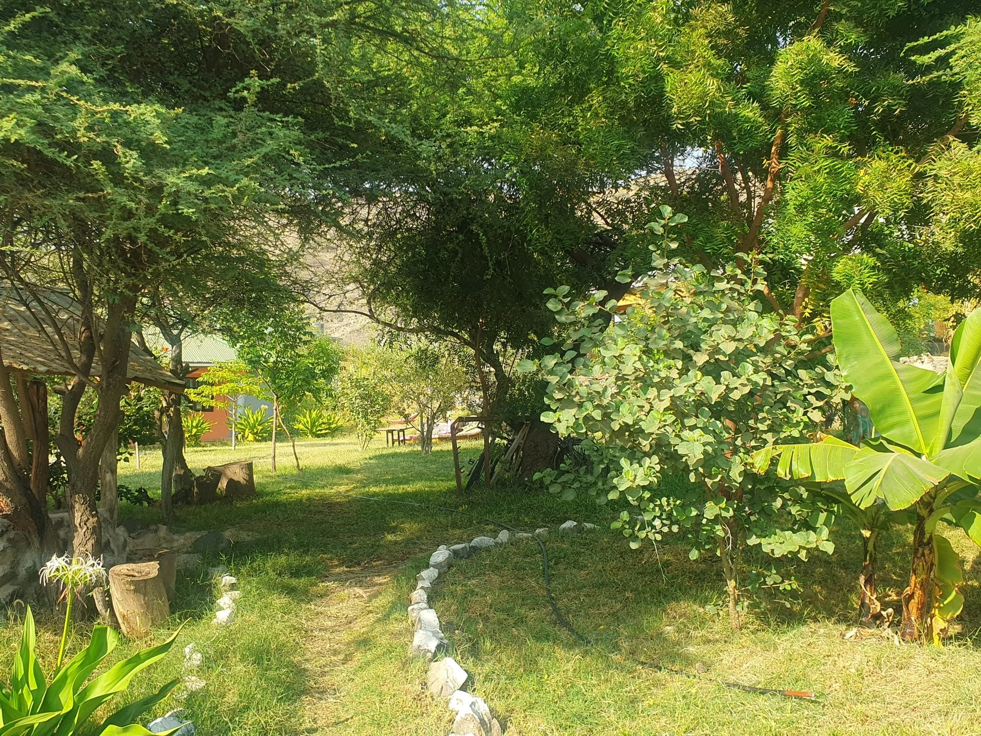 garden6.jpg